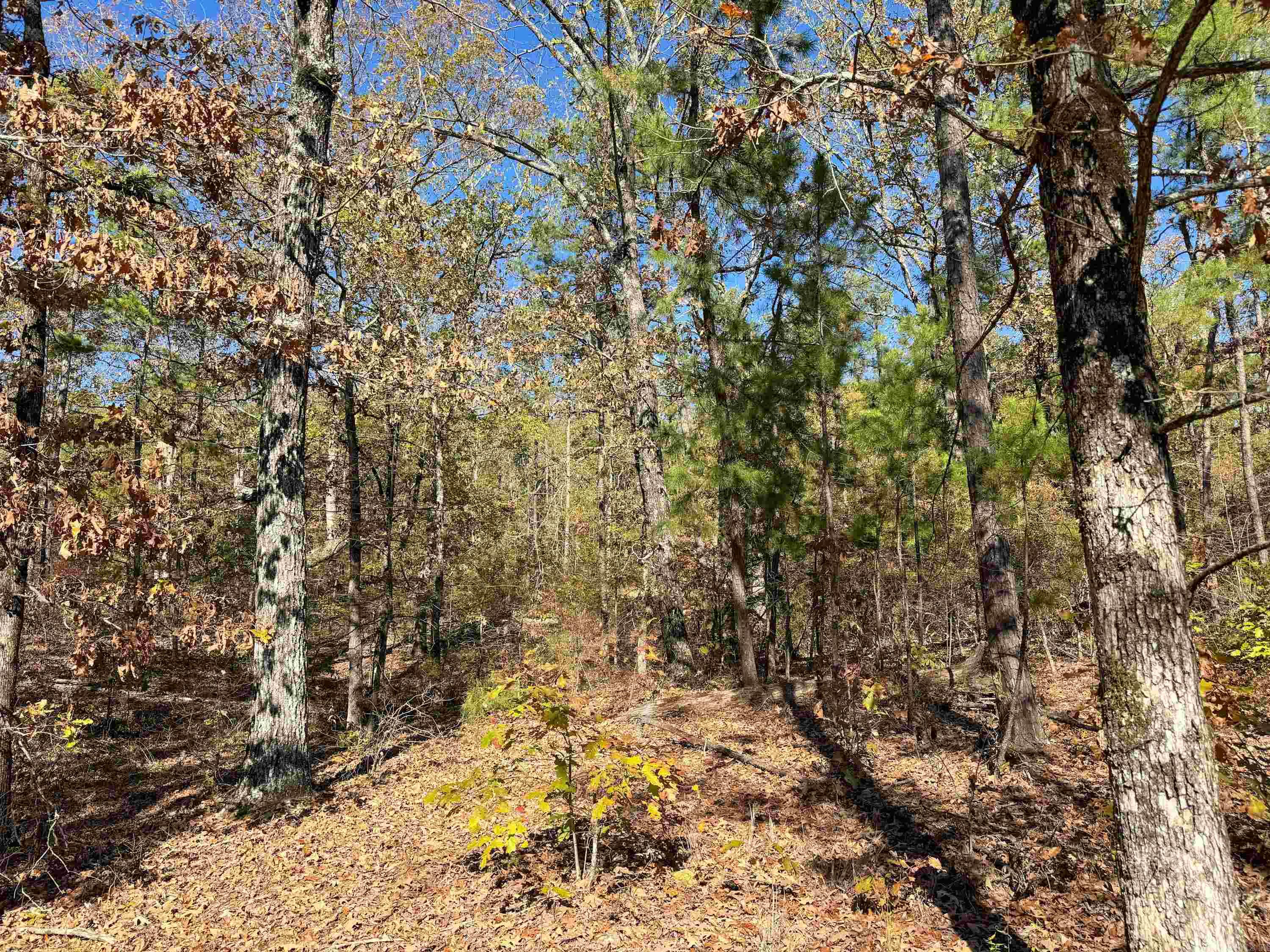 352 Sunset  Center Ridge, AR