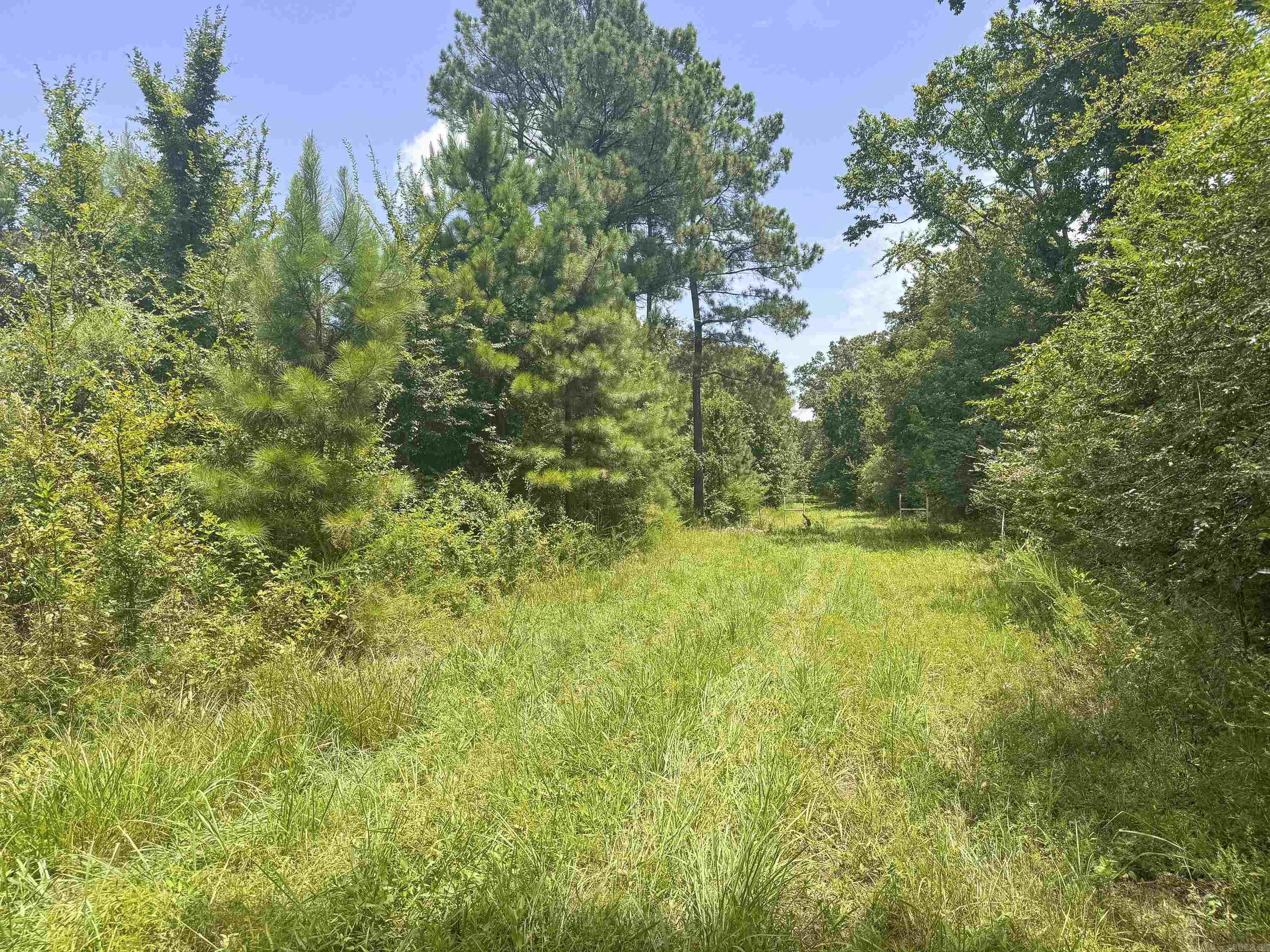 352 Sunset  Center Ridge, AR