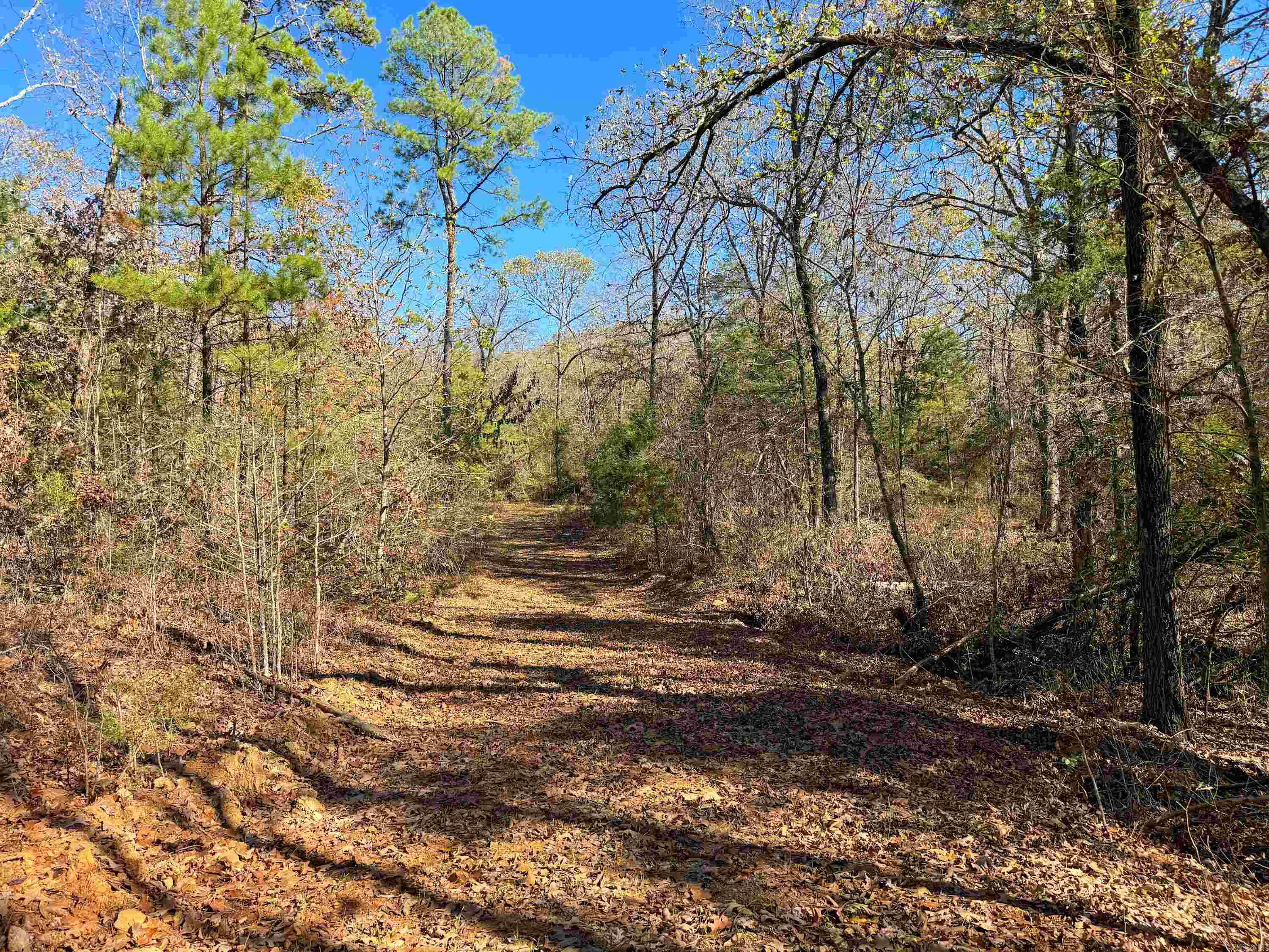 352 Sunset  Center Ridge, AR