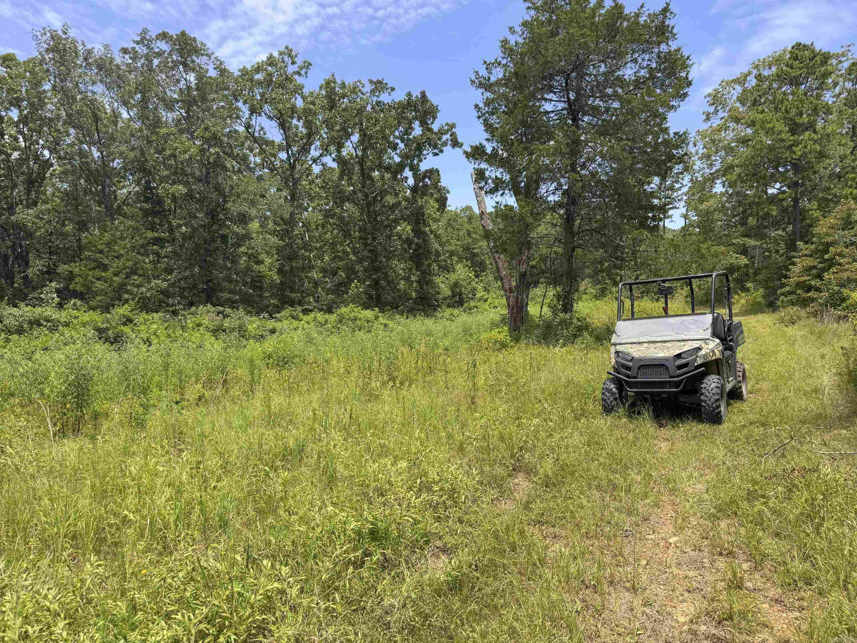 352 Sunset  Center Ridge, AR