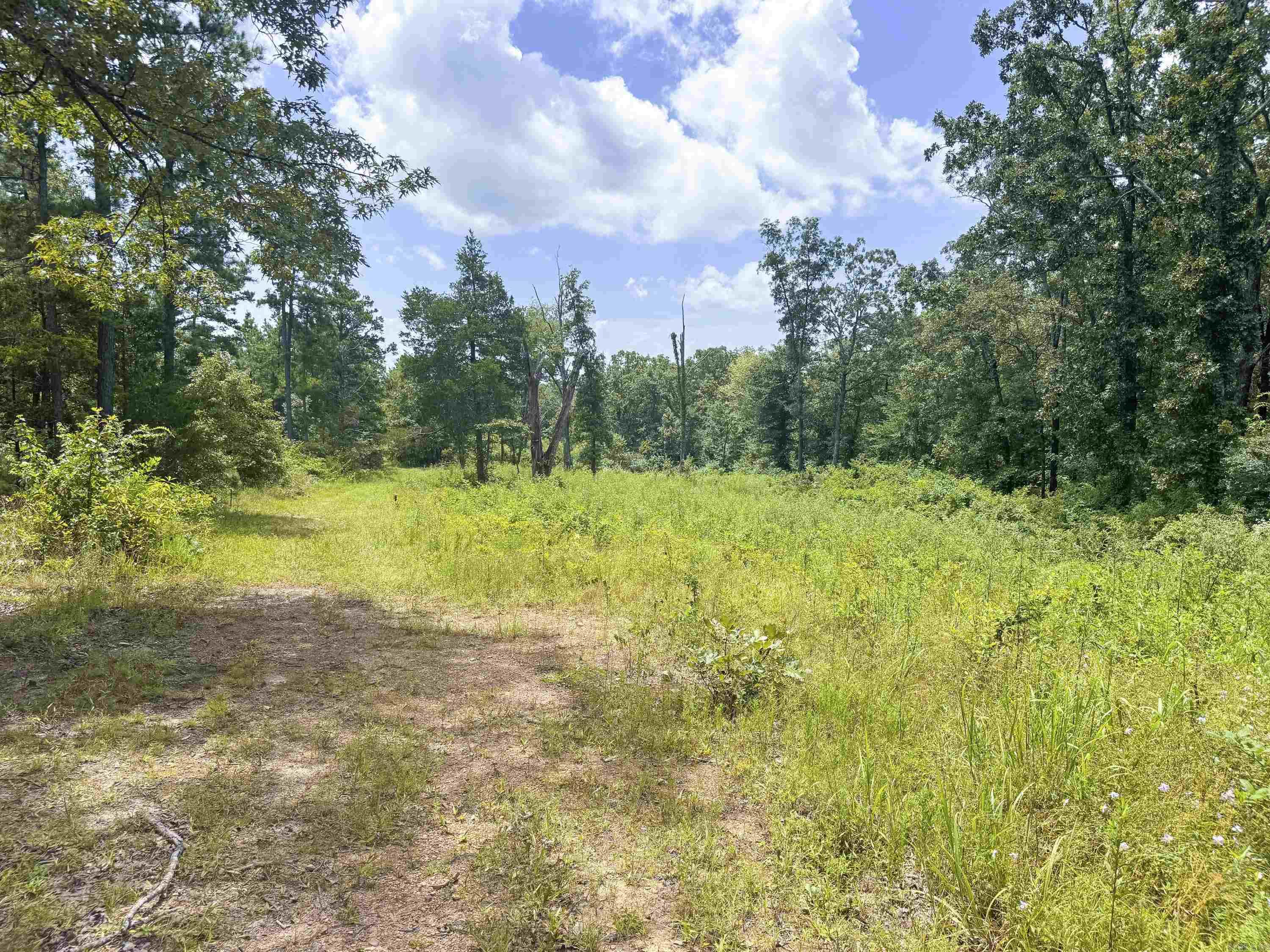 352 Sunset  Center Ridge, AR