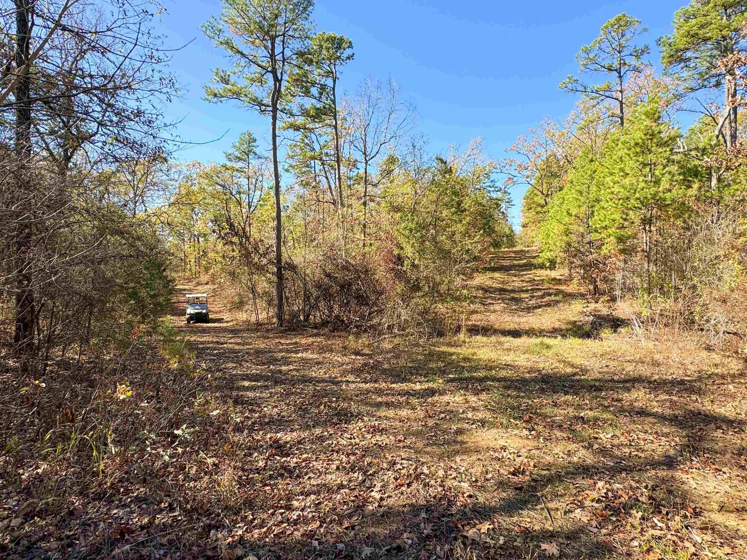 352 Sunset  Center Ridge, AR