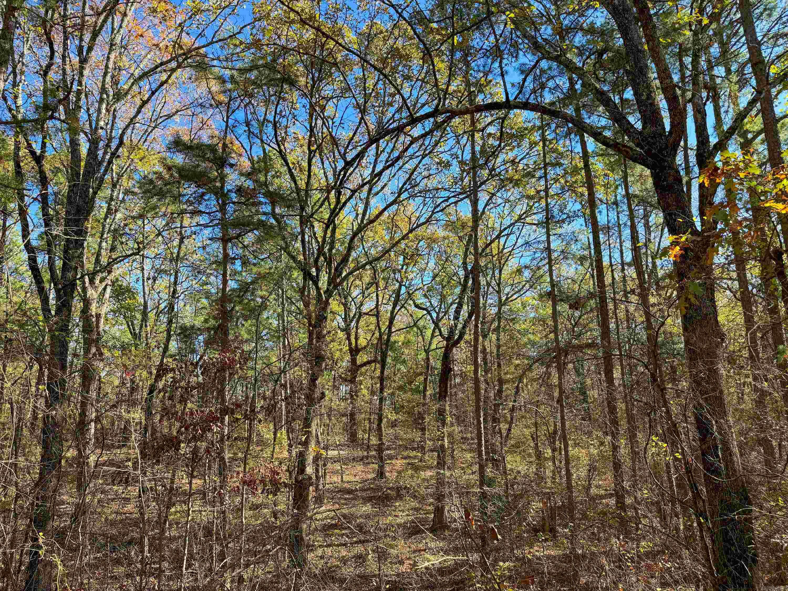 352 Sunset  Center Ridge, AR