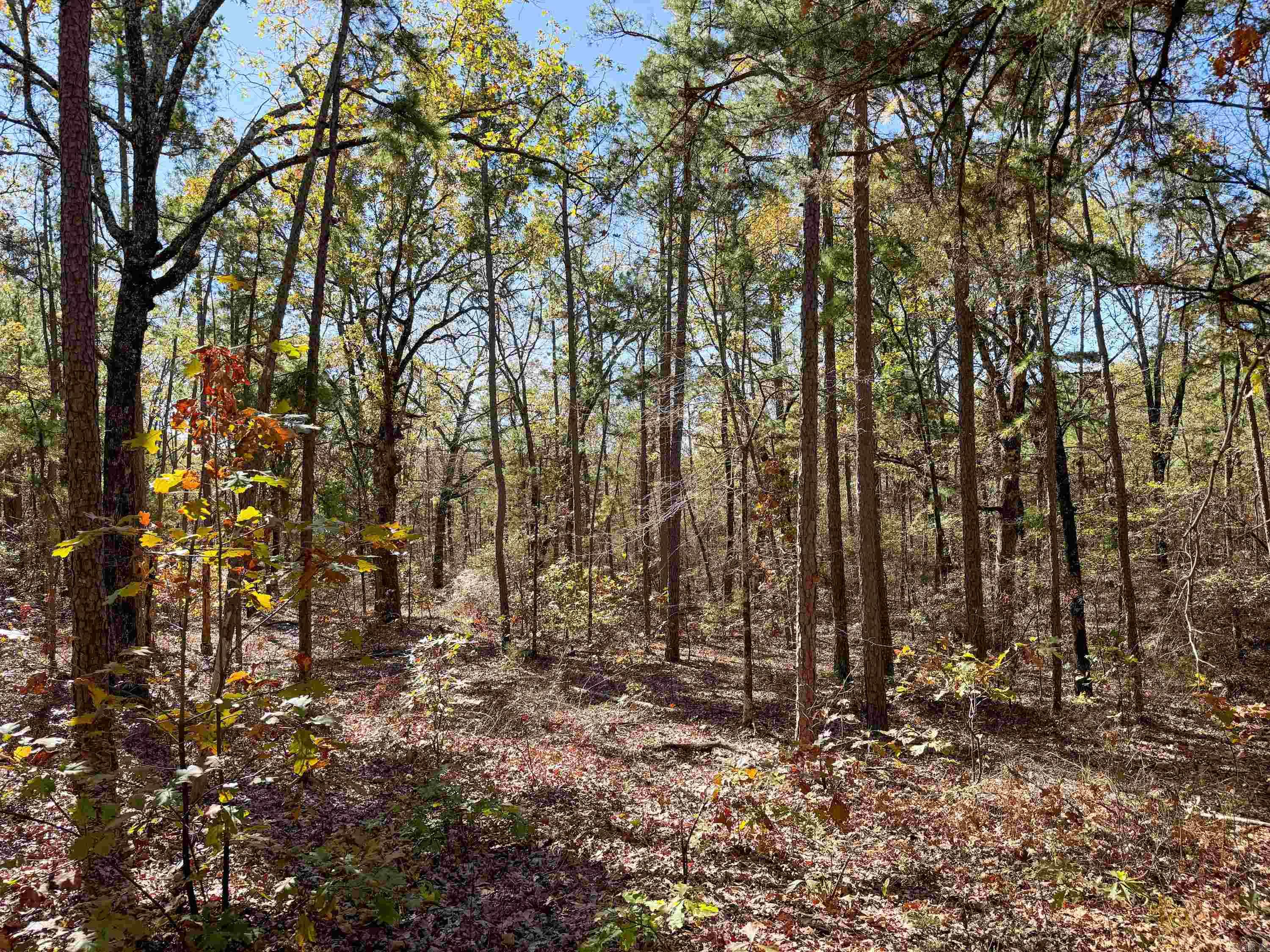 352 Sunset  Center Ridge, AR