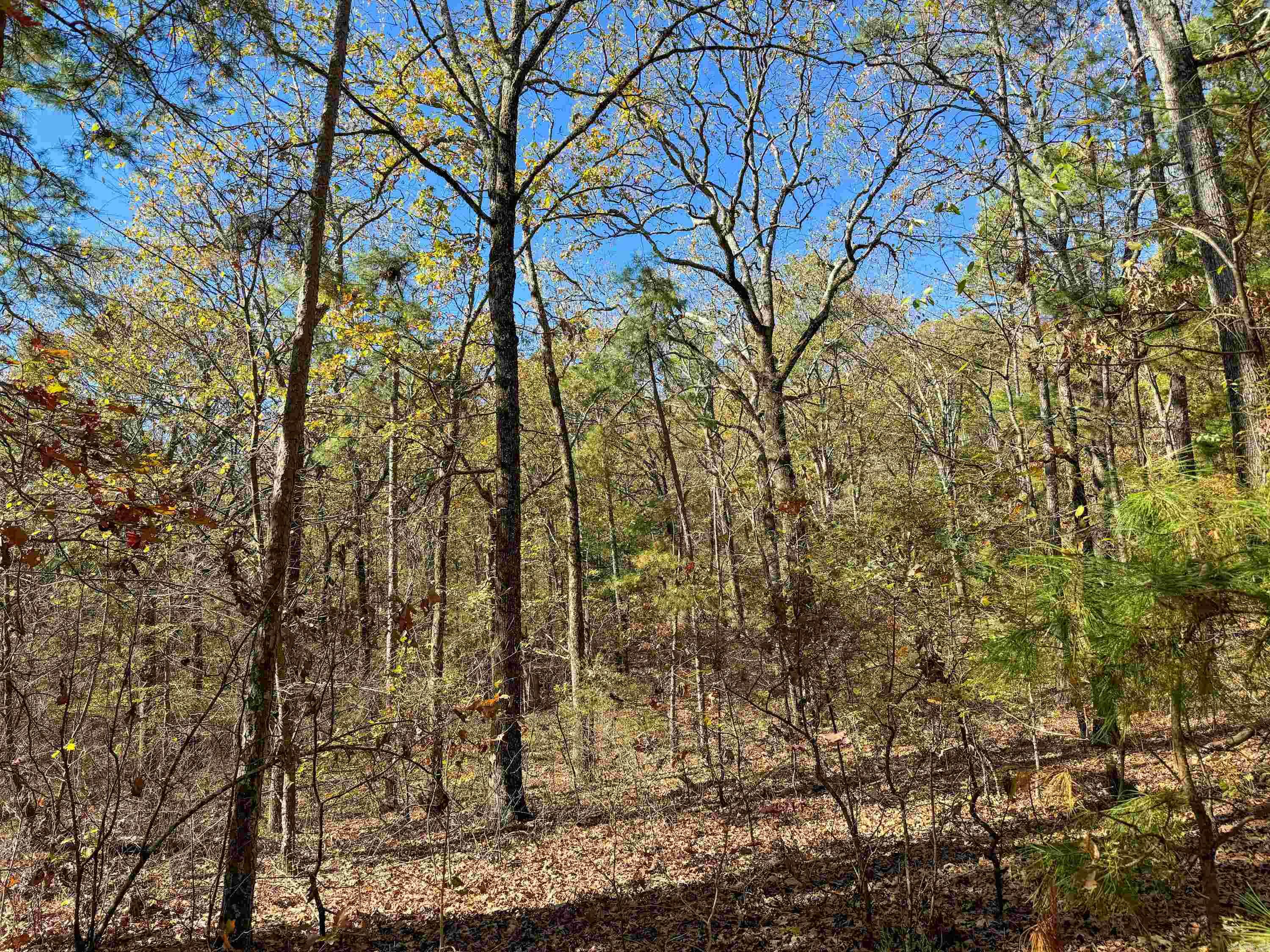352 Sunset  Center Ridge, AR