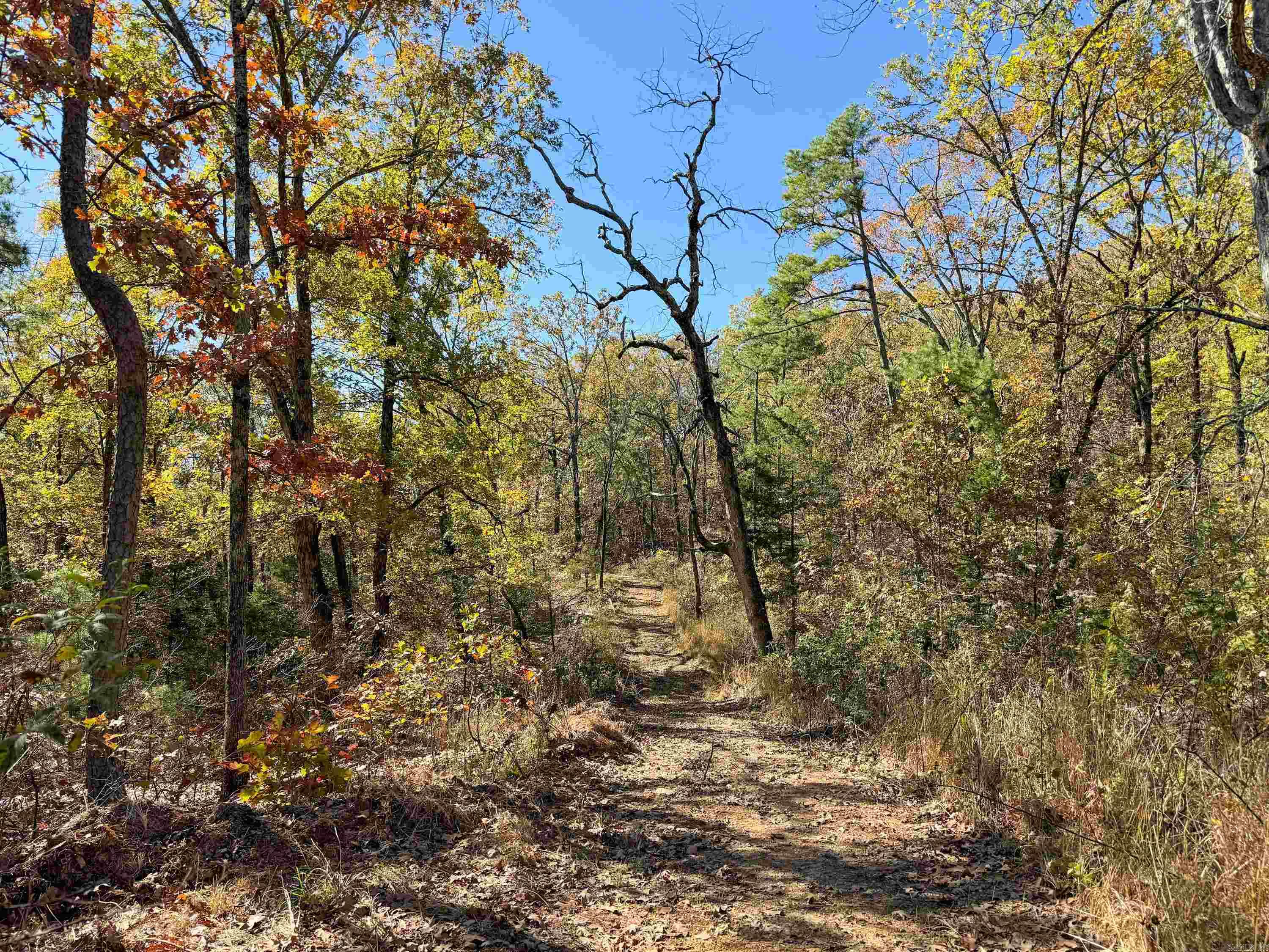 352 Sunset  Center Ridge, AR