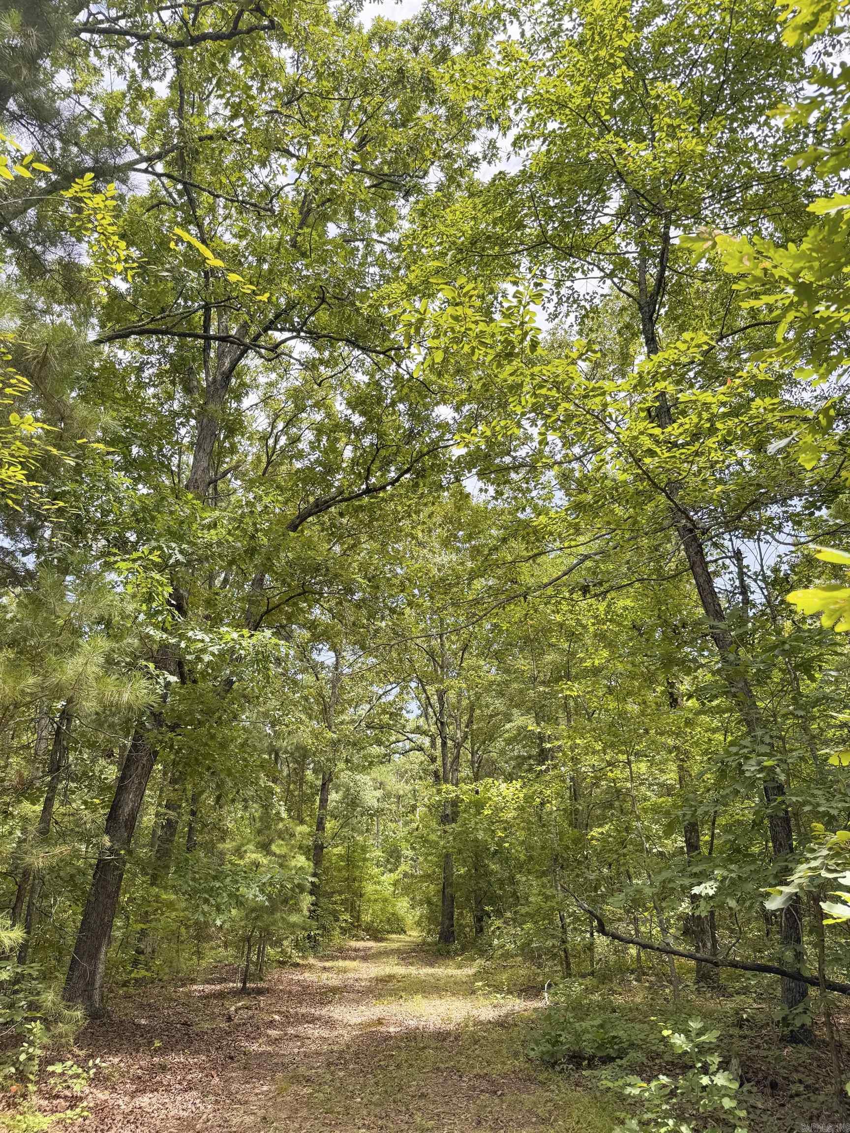 352 Sunset  Center Ridge, AR