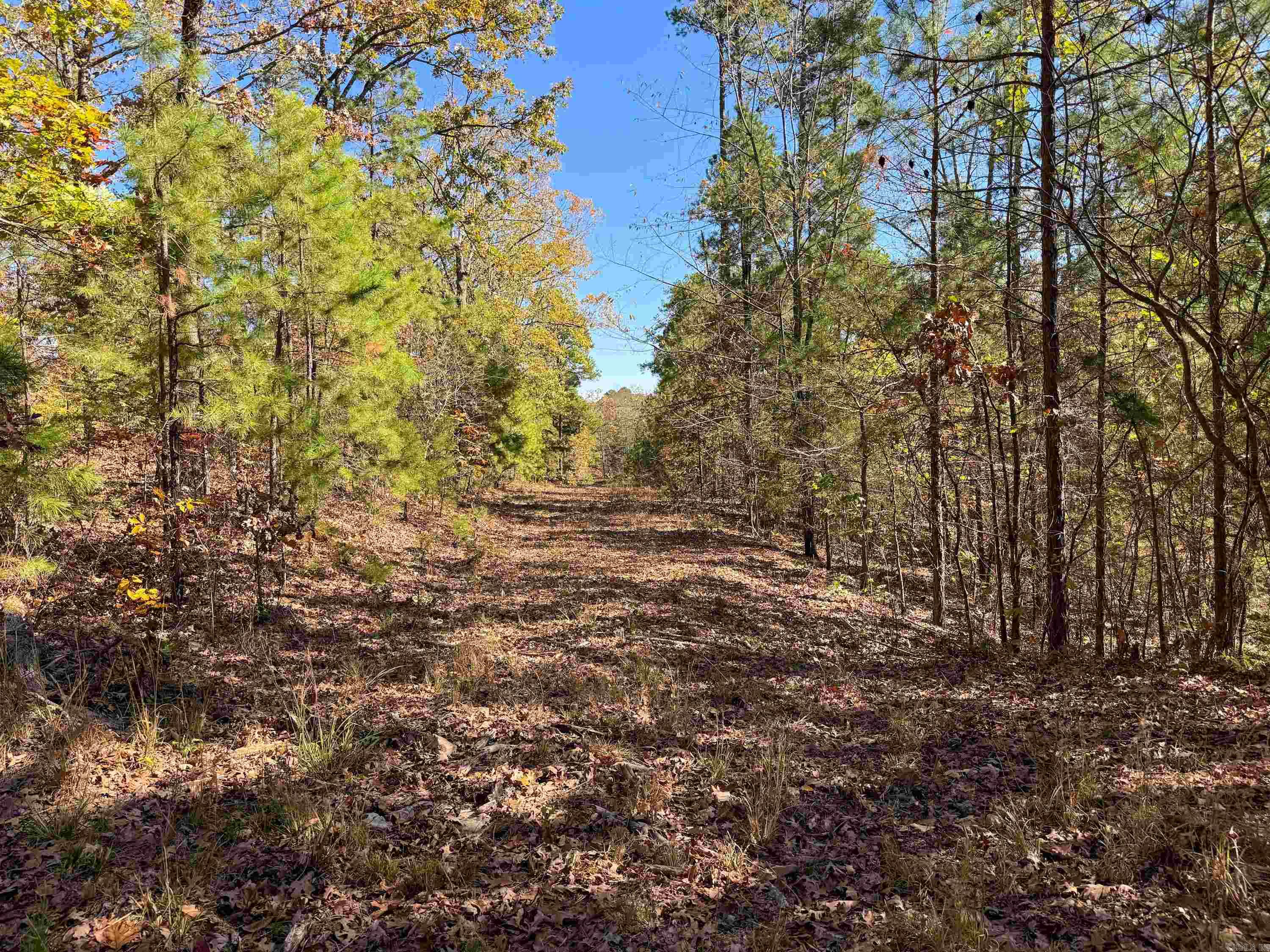 352 Sunset  Center Ridge, AR