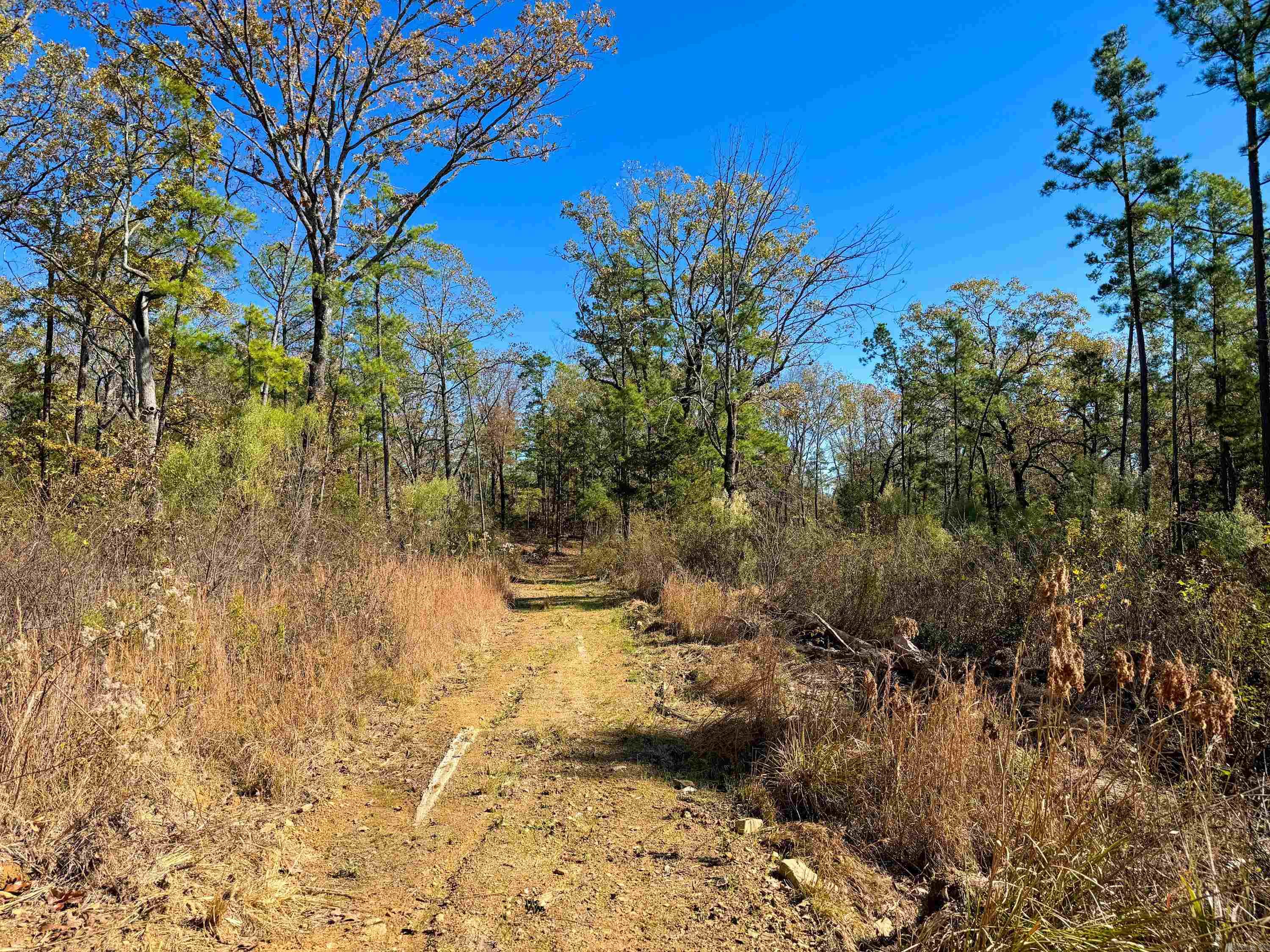 352 Sunset  Center Ridge, AR