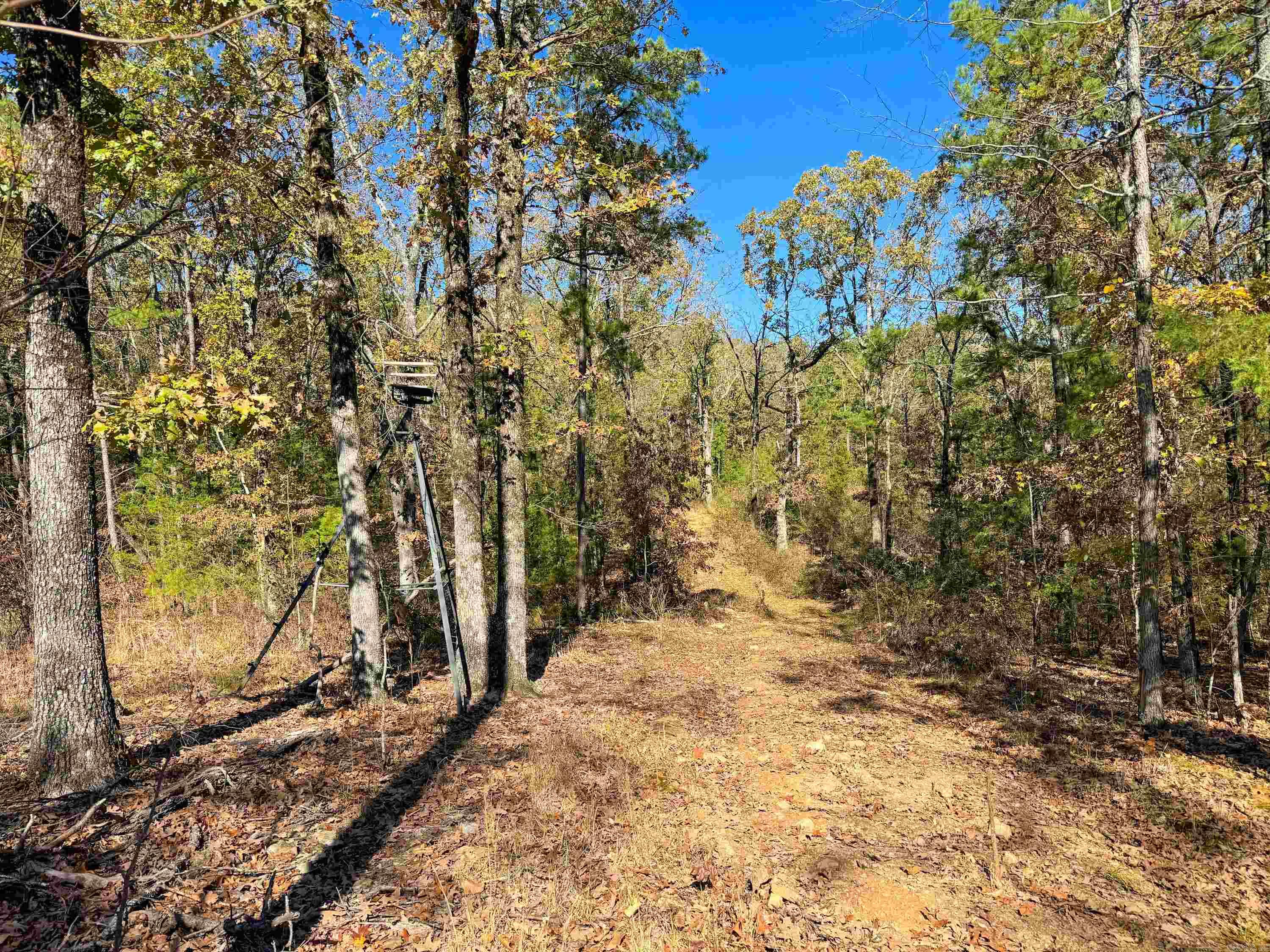 352 Sunset  Center Ridge, AR