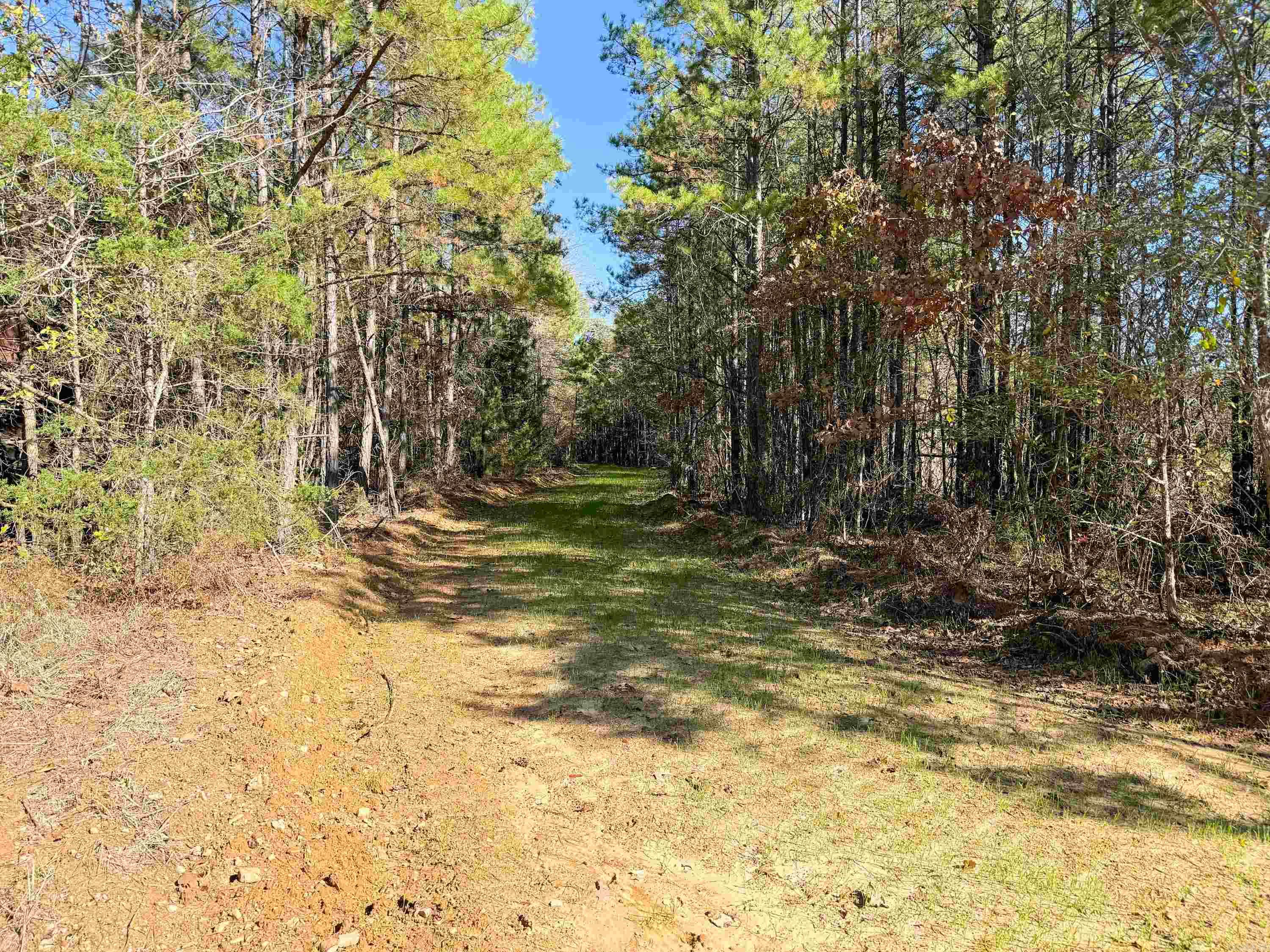352 Sunset  Center Ridge, AR