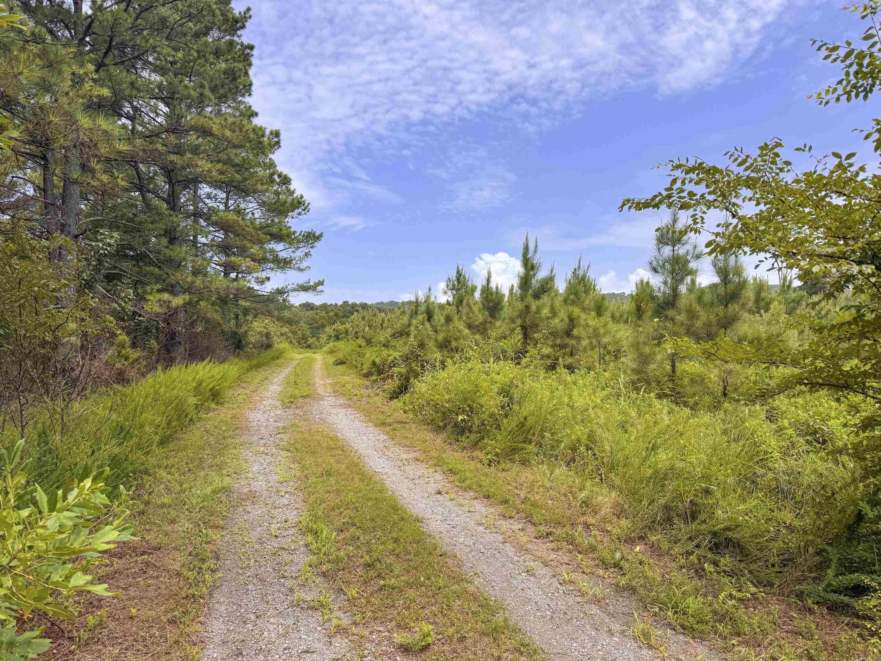 352 Sunset  Center Ridge, AR
