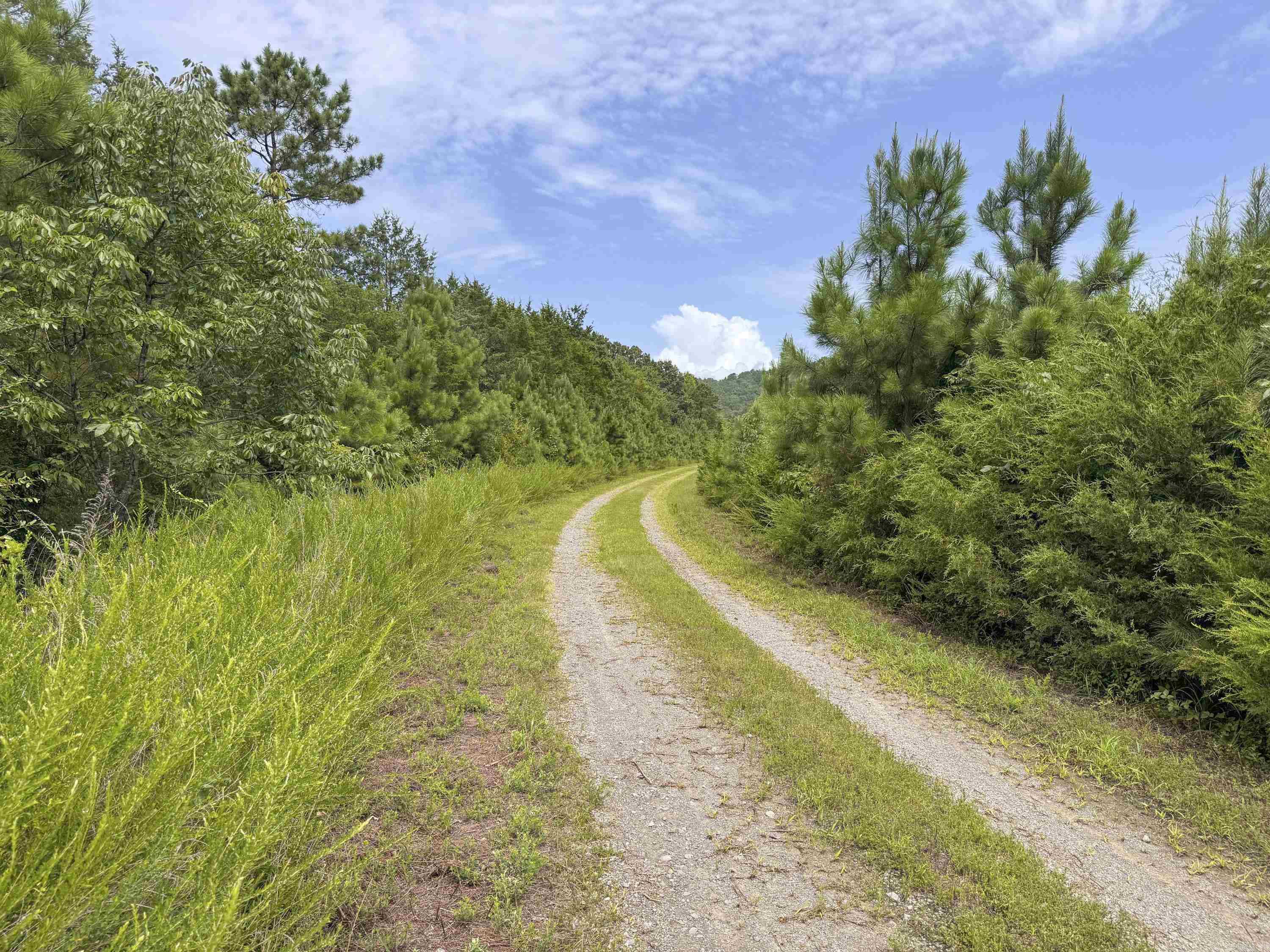 352 Sunset  Center Ridge, AR