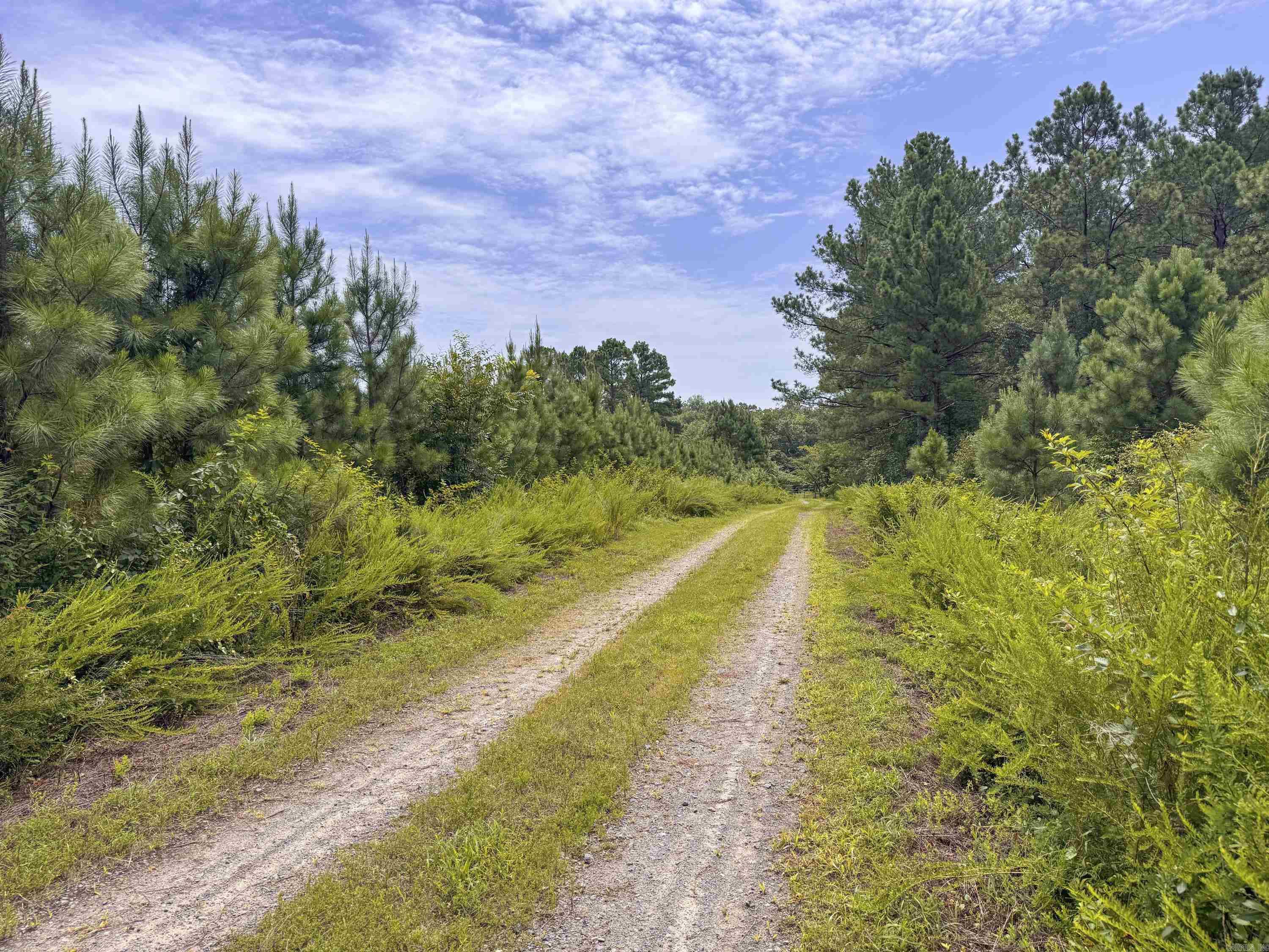 352 Sunset  Center Ridge, AR