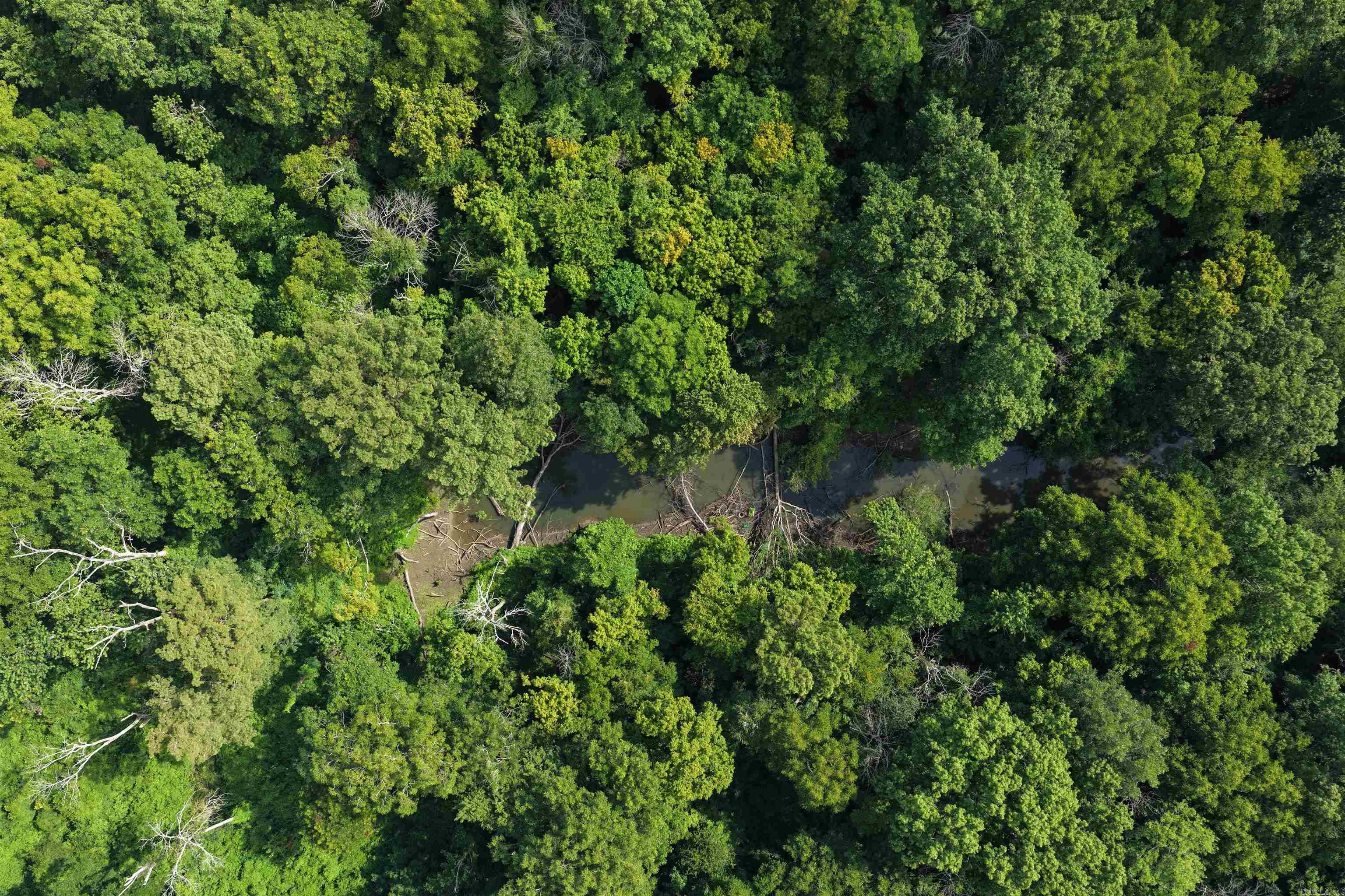 00 Riverview Rd  De Valls Bluff, AR