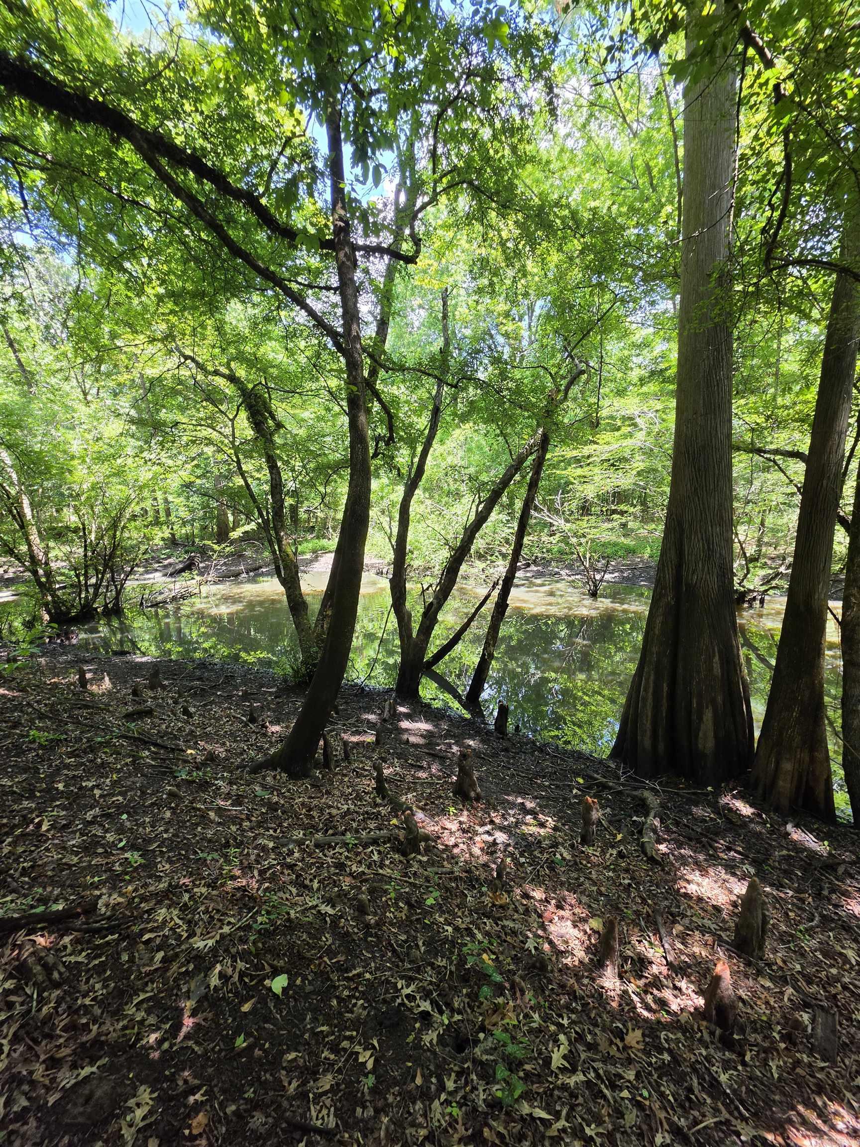 00 Riverview Rd  De Valls Bluff, AR