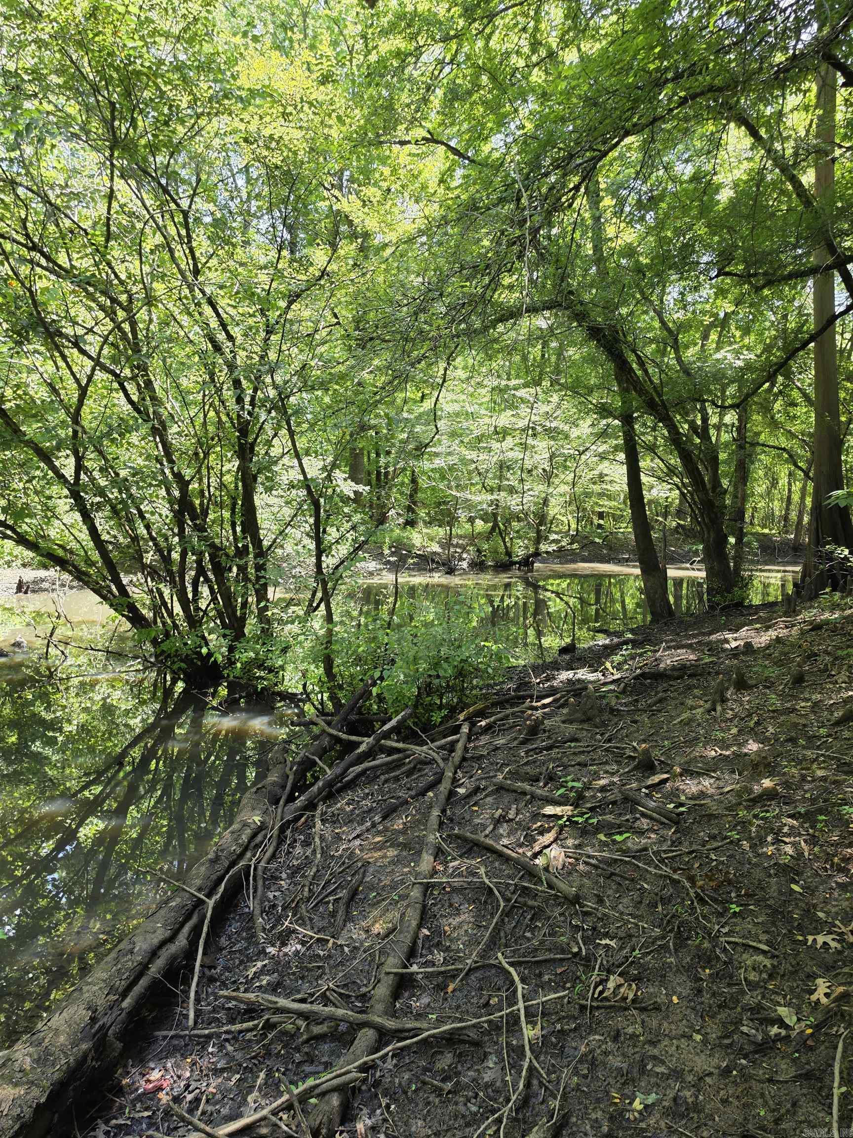 00 Riverview Rd  De Valls Bluff, AR