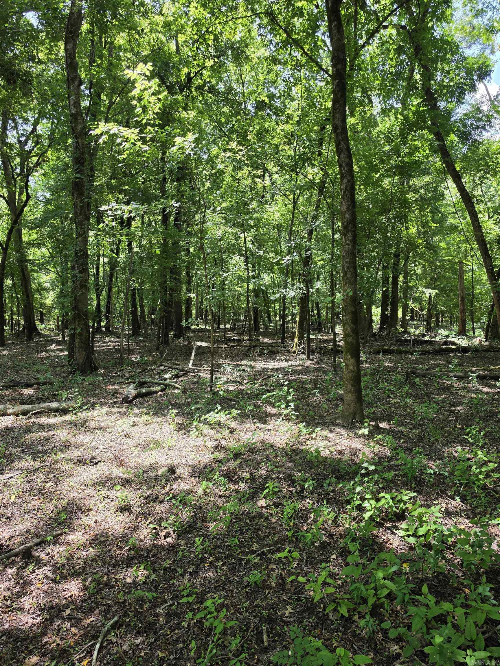 00 Riverview Rd  De Valls Bluff, AR