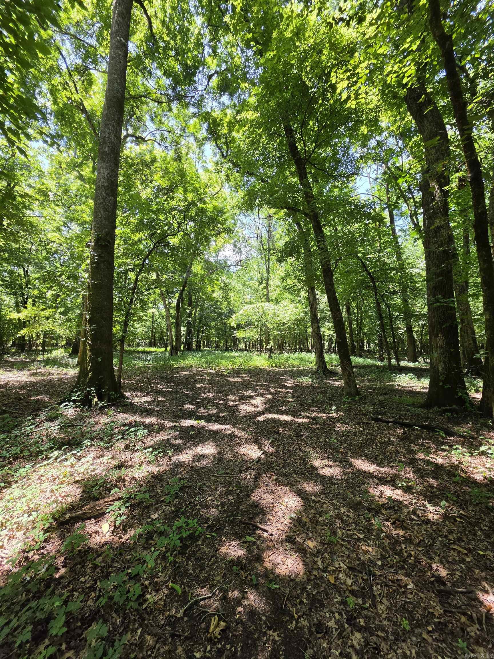 00 Riverview Rd  De Valls Bluff, AR