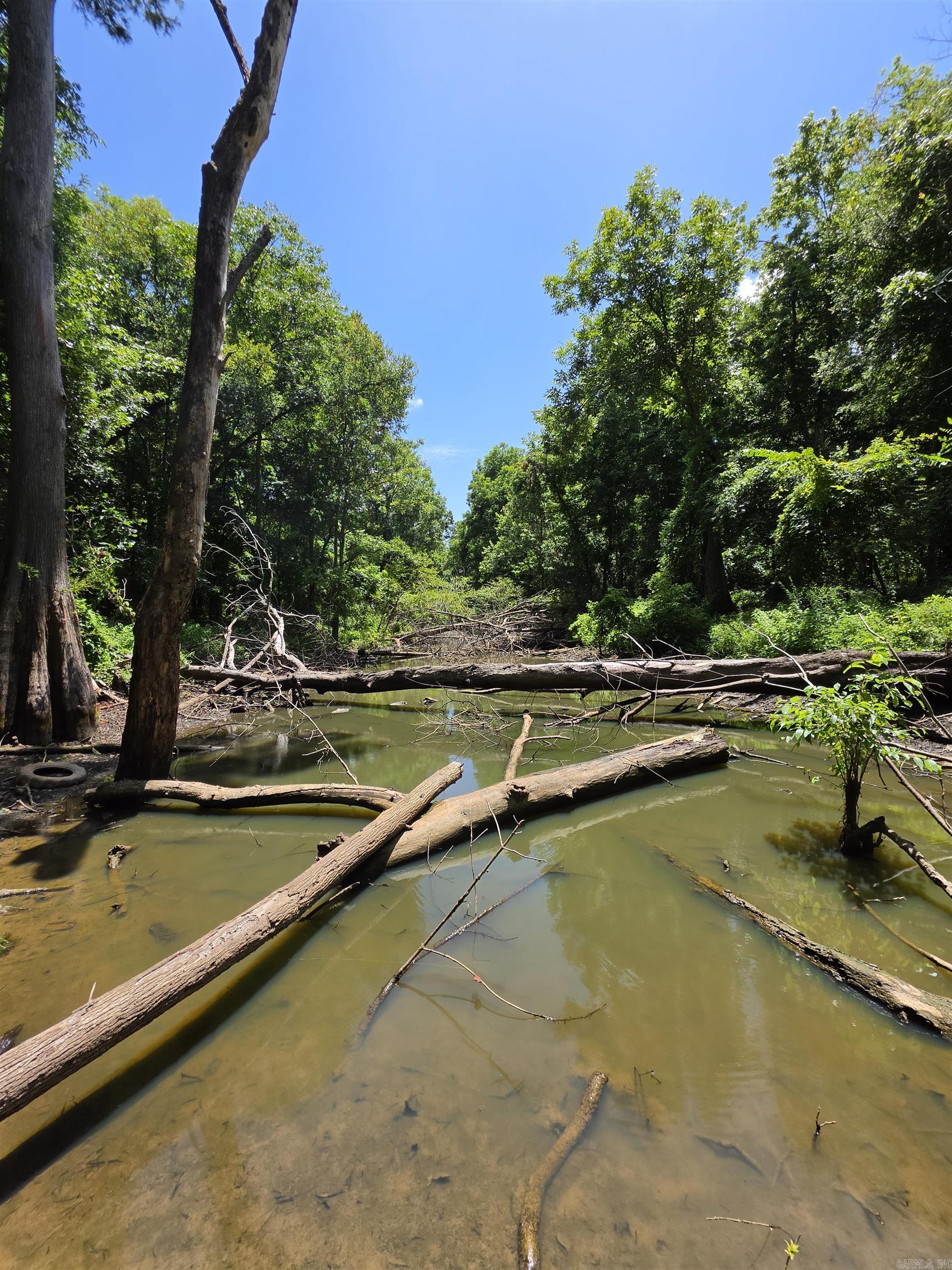 00 Riverview Rd  De Valls Bluff, AR