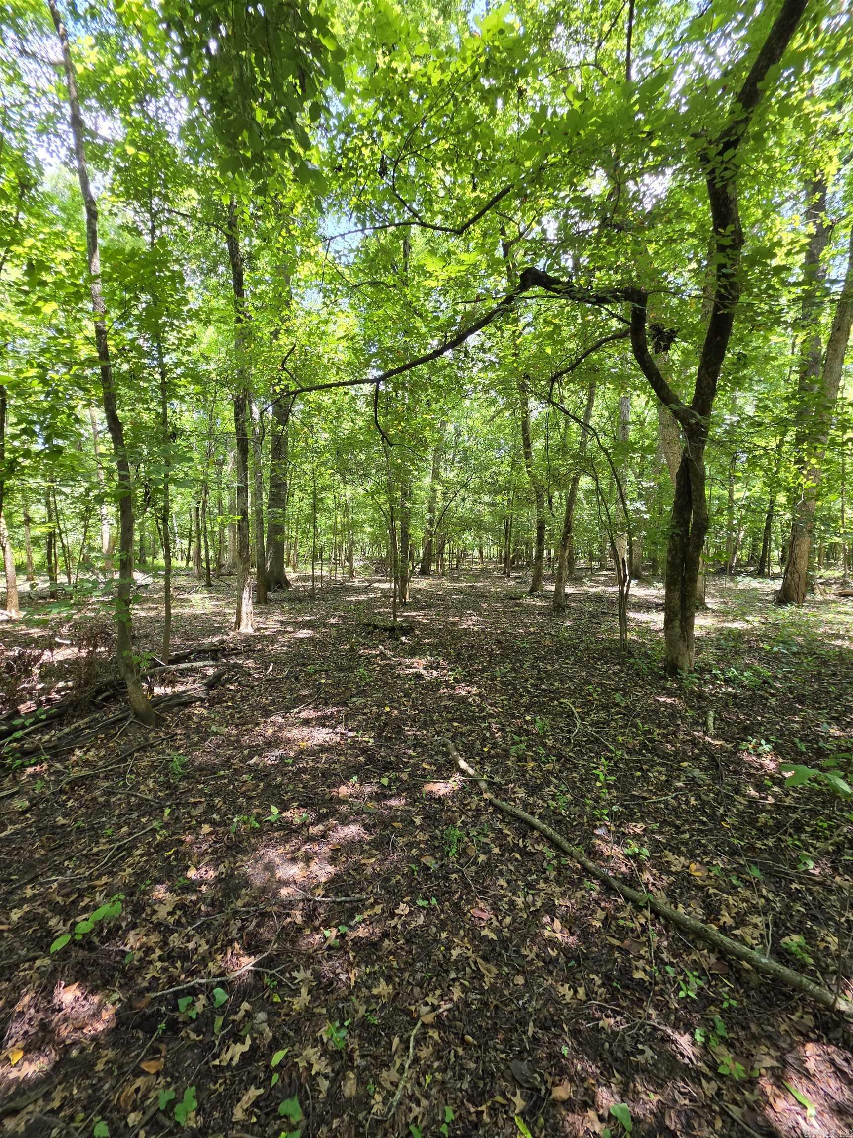 00 Riverview Rd  De Valls Bluff, AR