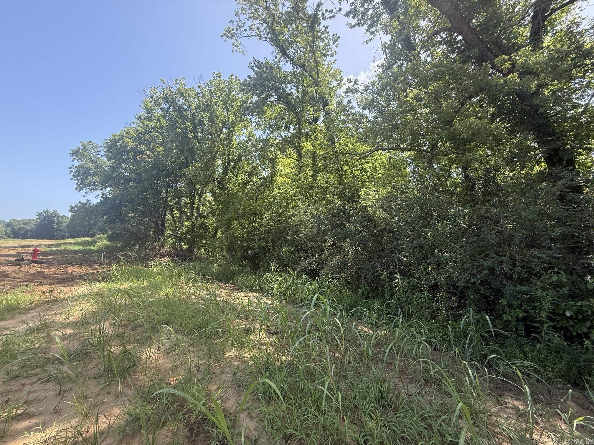 Lot 33 Up River  Heber Springs, AR