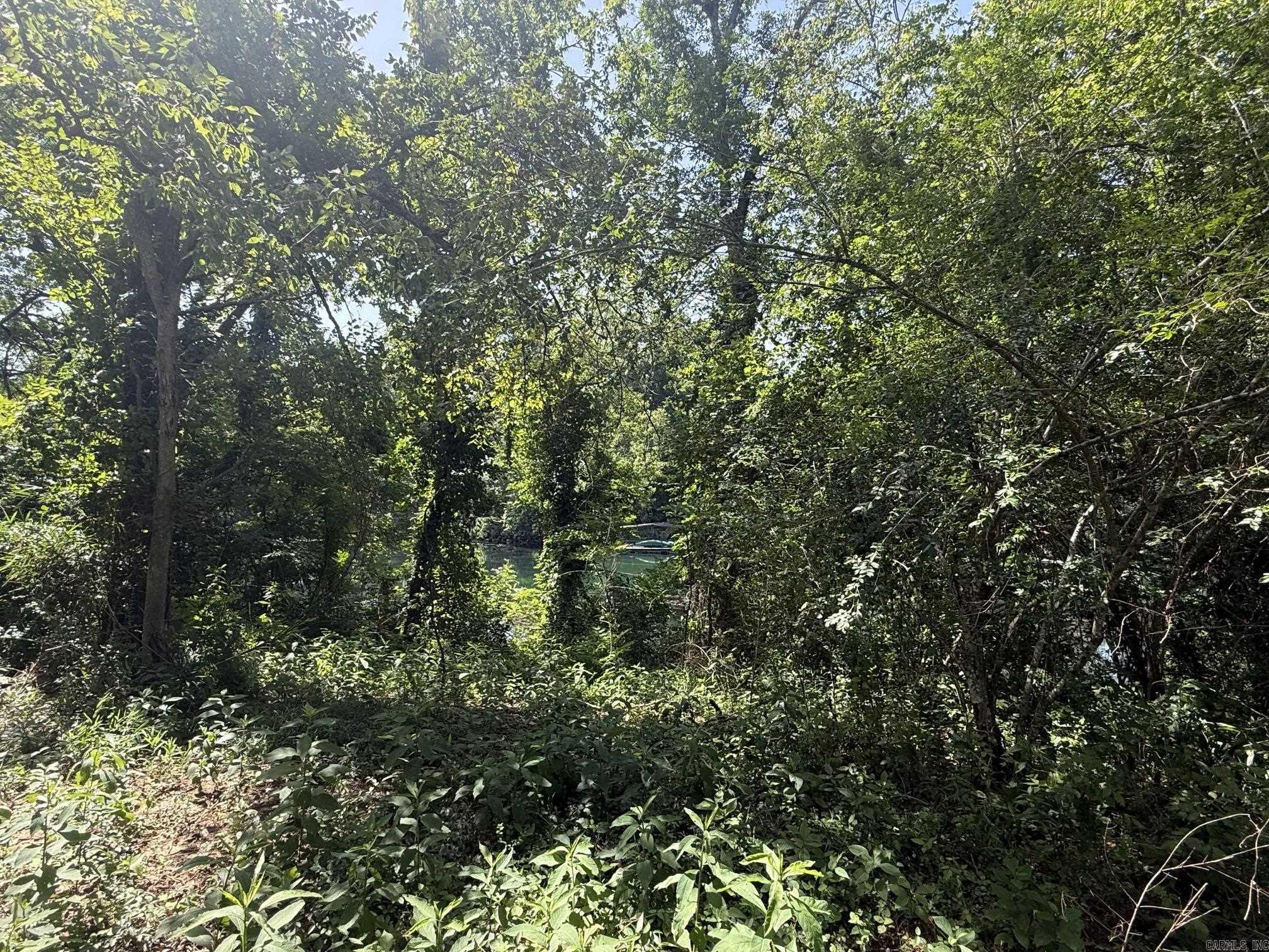 Lot 35 Up River  Heber Springs, AR