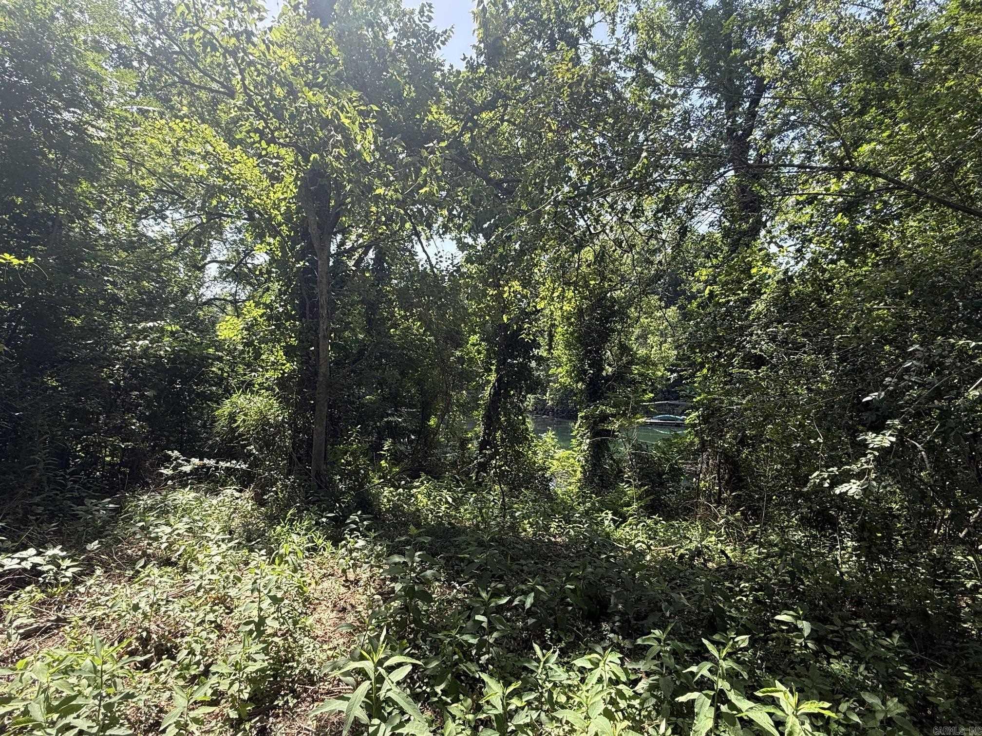 Lot 35 Up River  Heber Springs, AR