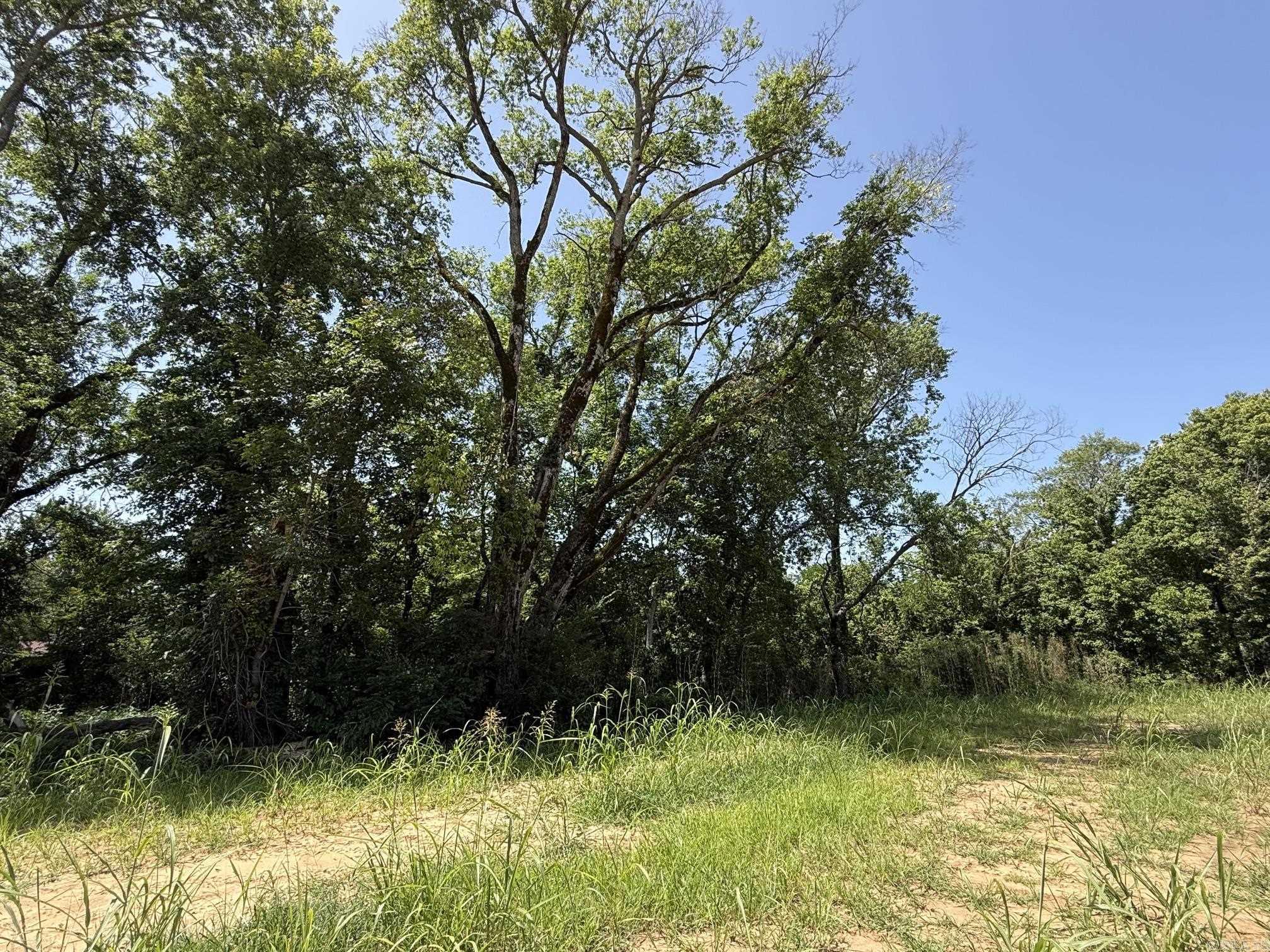 Lot 36 Up River  Heber Springs, AR
