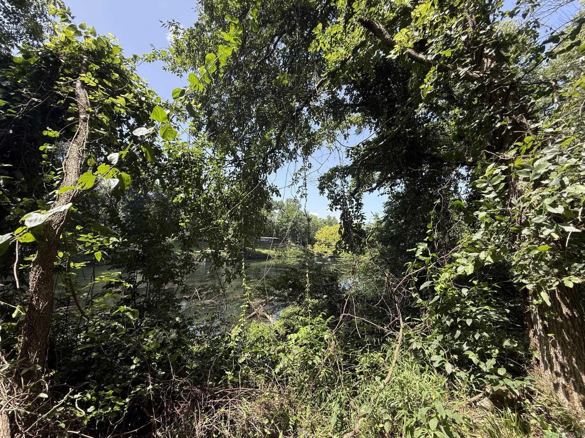 Lot 38 Up River  Heber Springs, AR