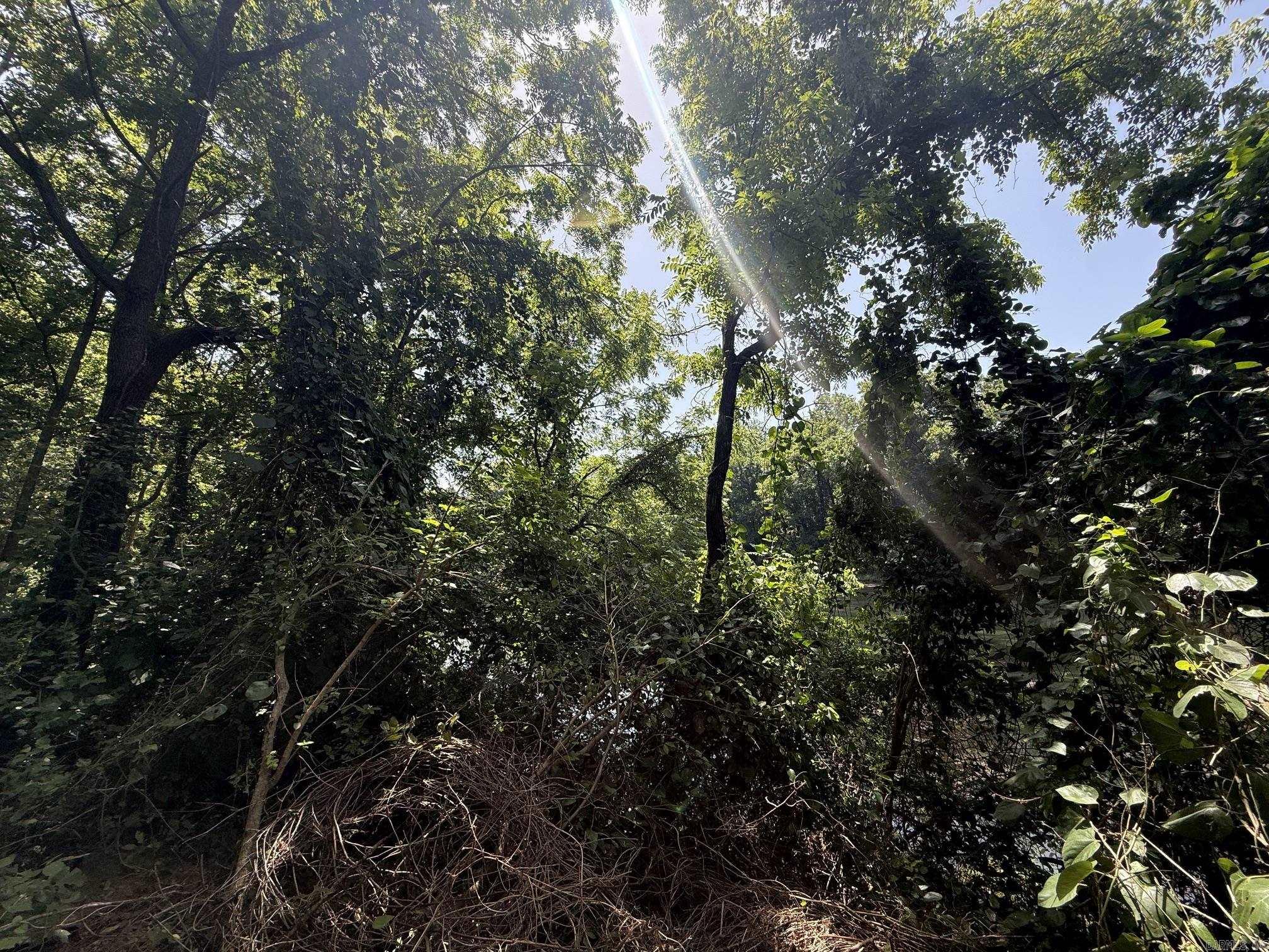 Lot 38 Up River  Heber Springs, AR