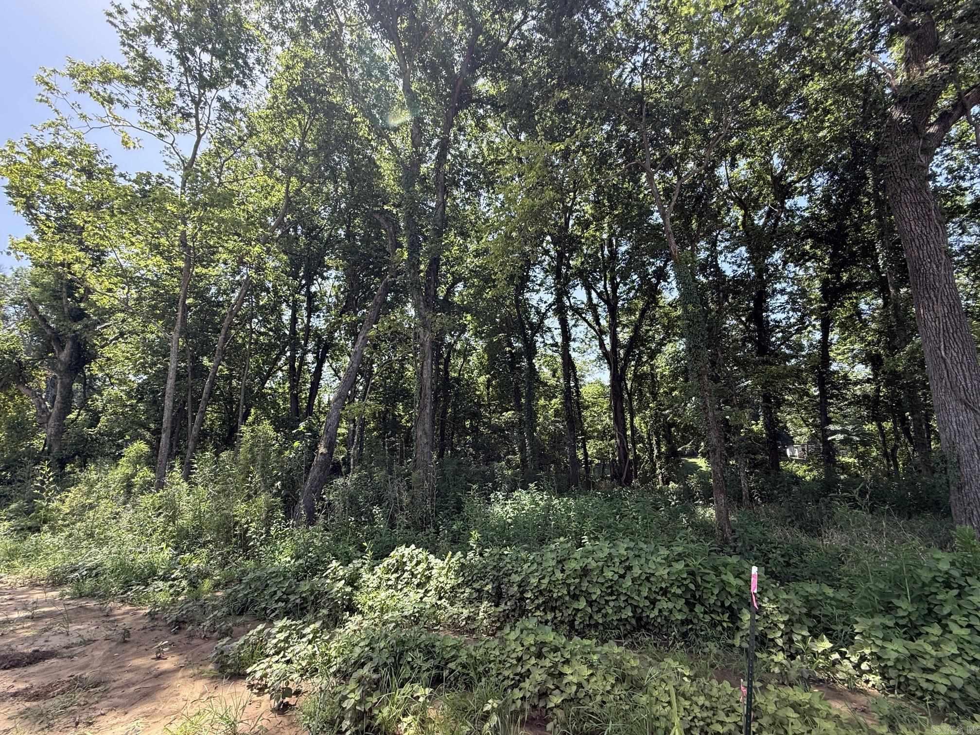 Lot 38 Up River  Heber Springs, AR