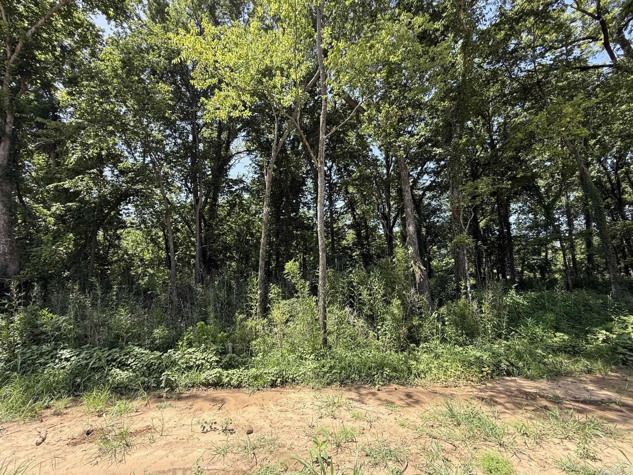 Lot 38 Up River  Heber Springs, AR