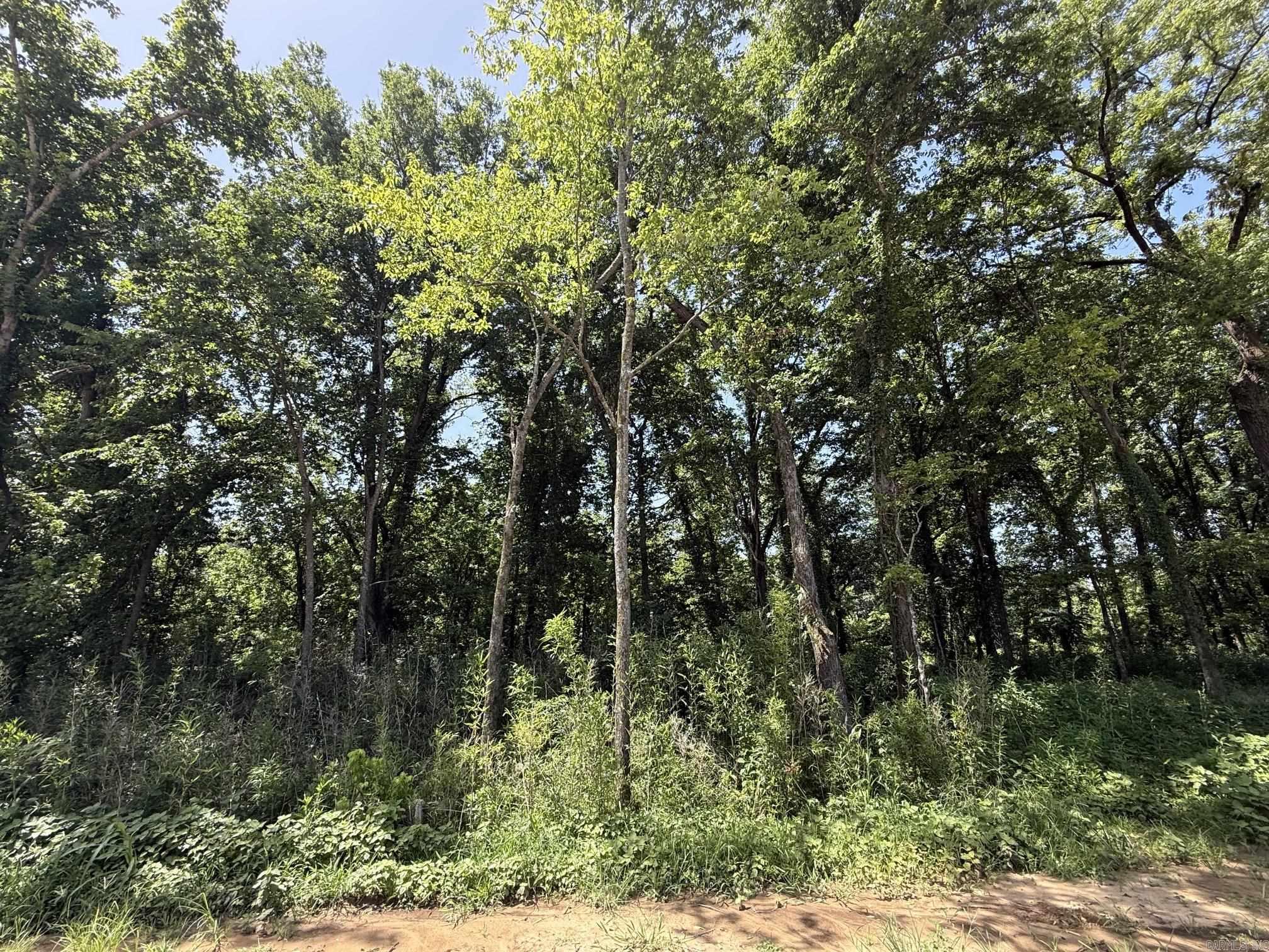 Lot 38 Up River  Heber Springs, AR