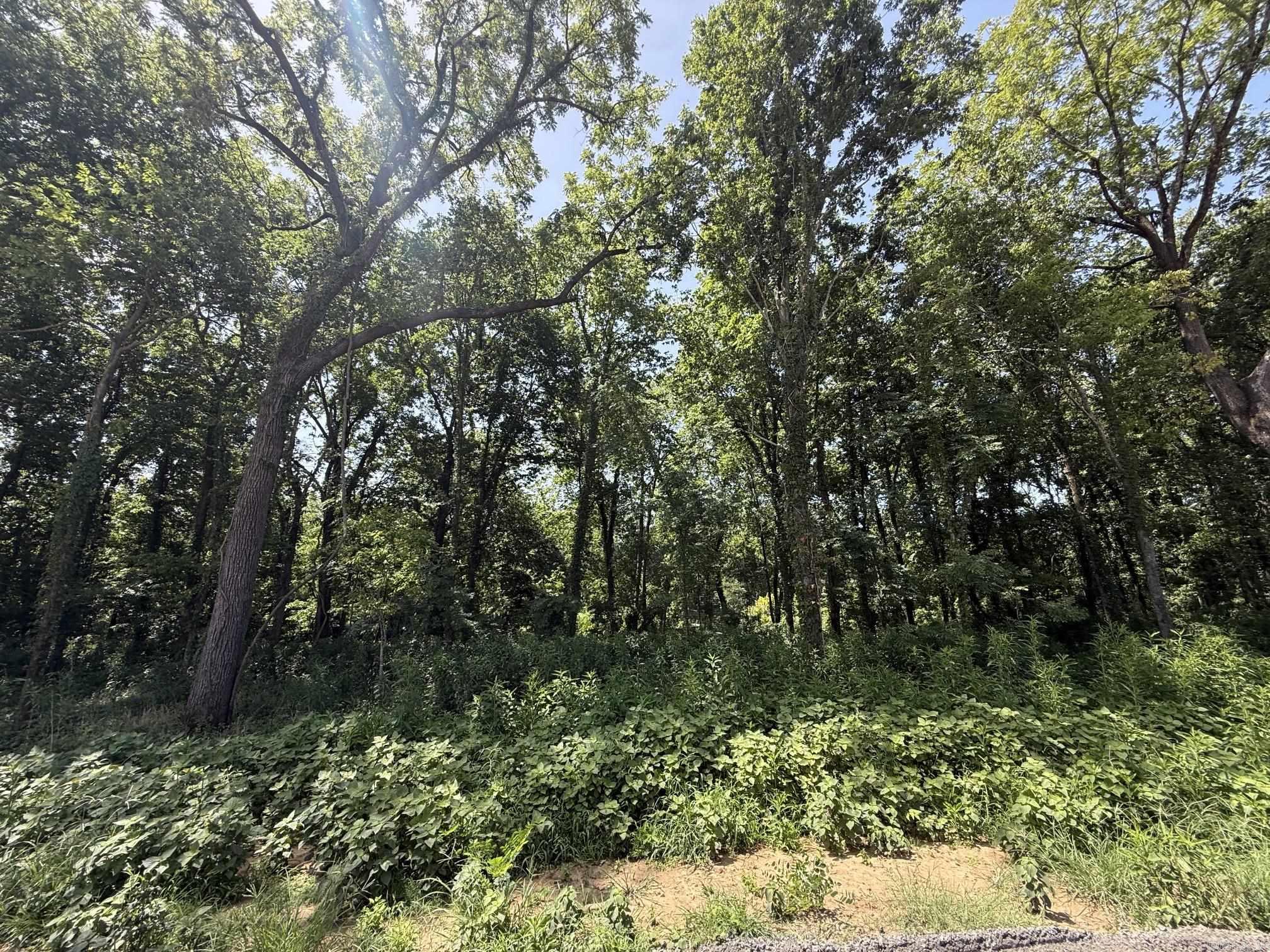 Lot 39 Up River  Heber Springs, AR