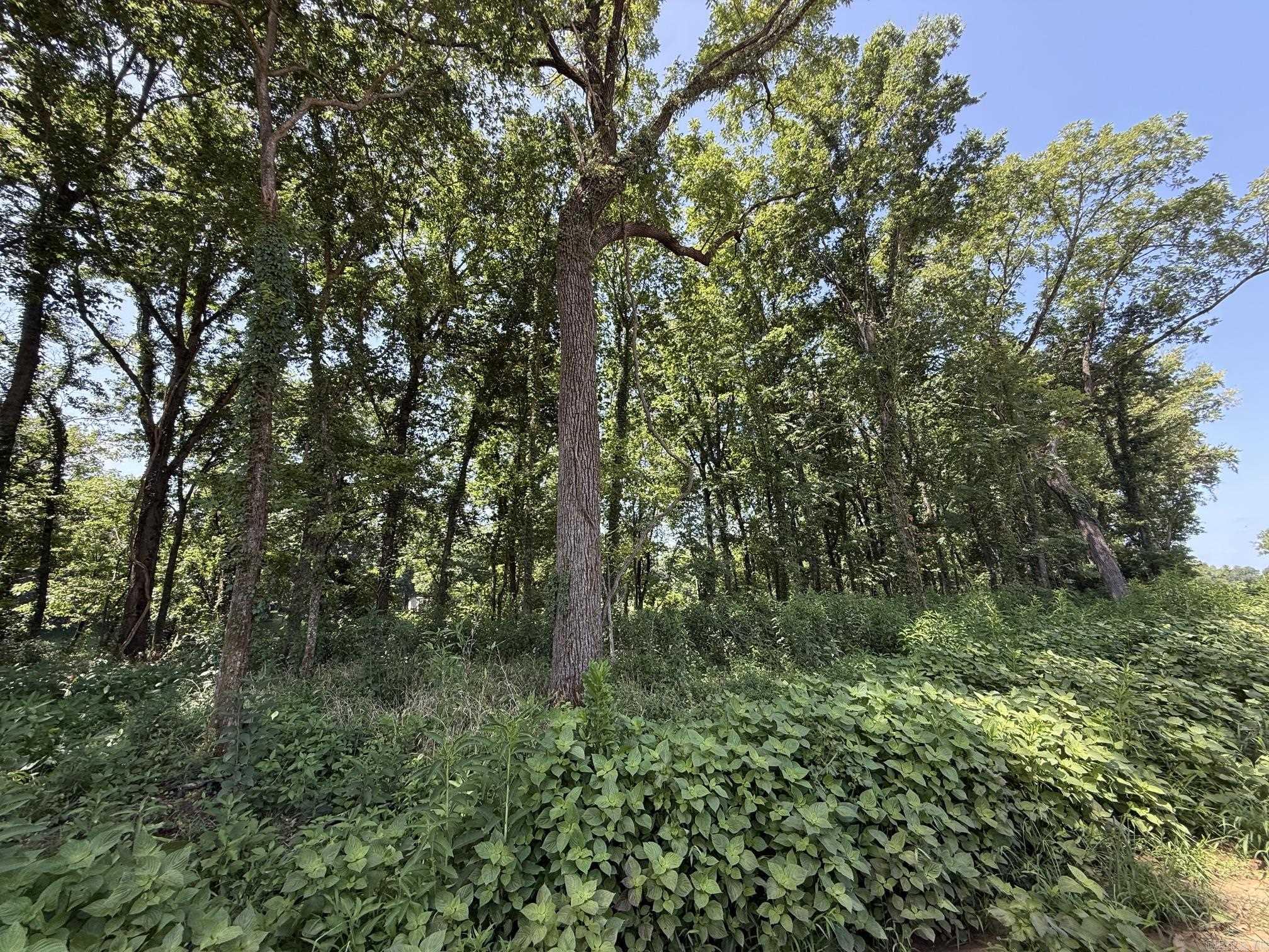 Lot 39 Up River  Heber Springs, AR