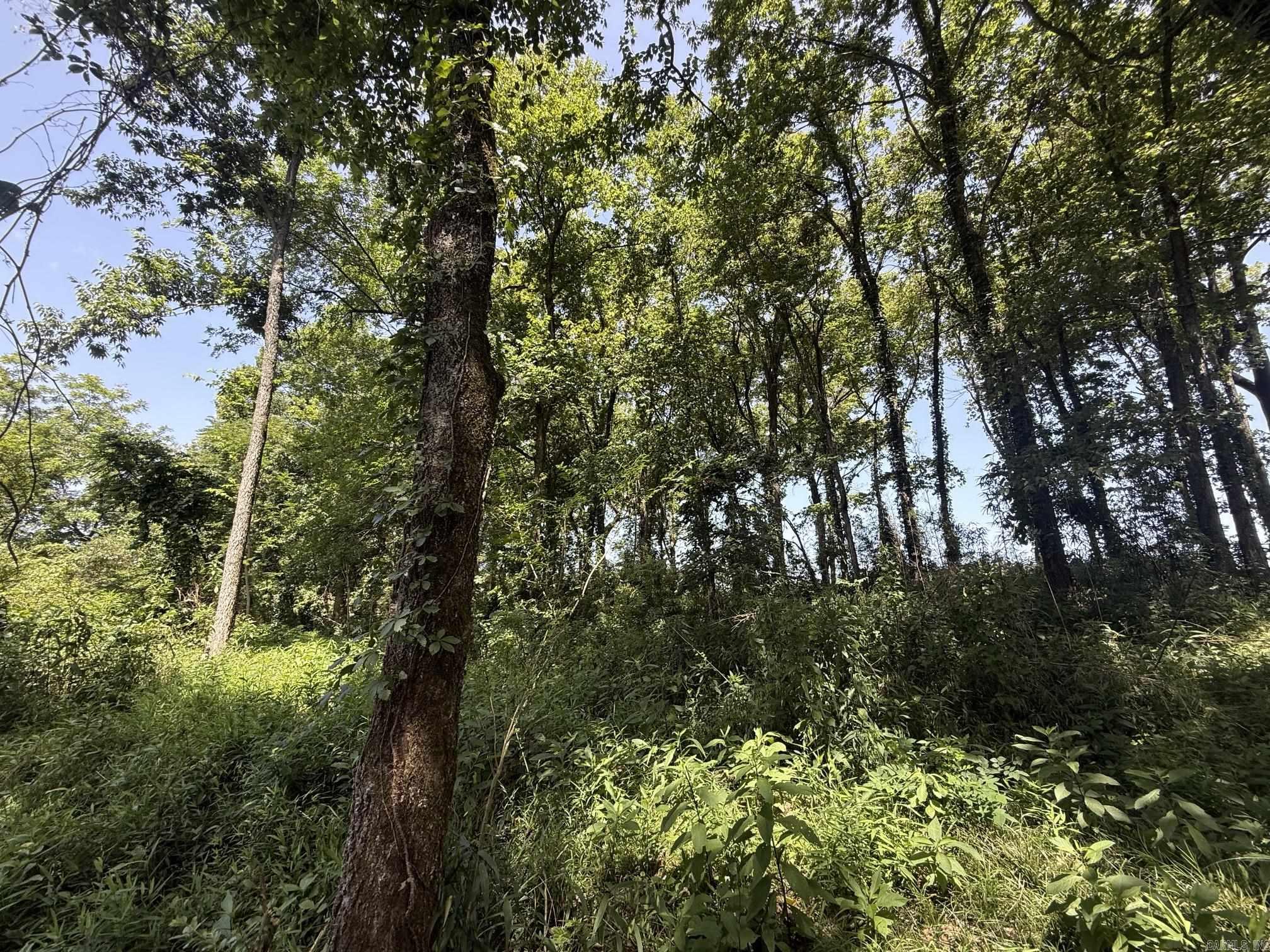 Lot 40 Up River  Heber Springs, AR