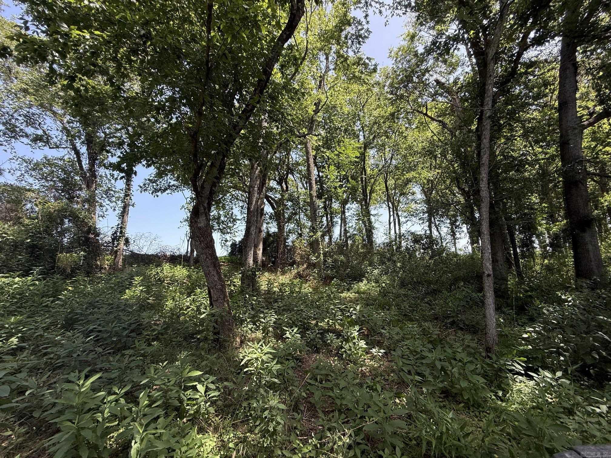 Lot 41 Up River  Heber Springs, AR