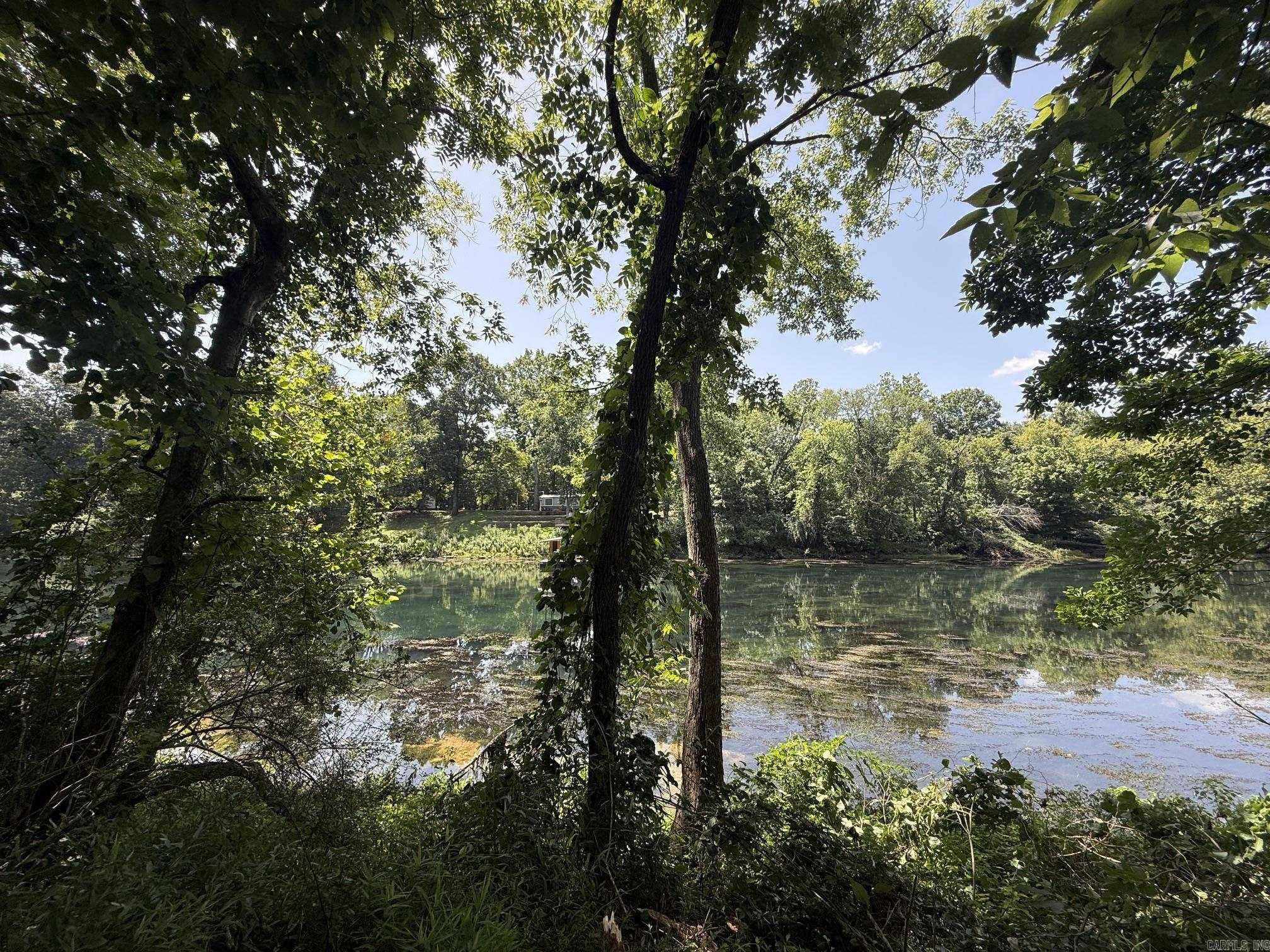 Lot 42 Up River  Heber Springs, AR