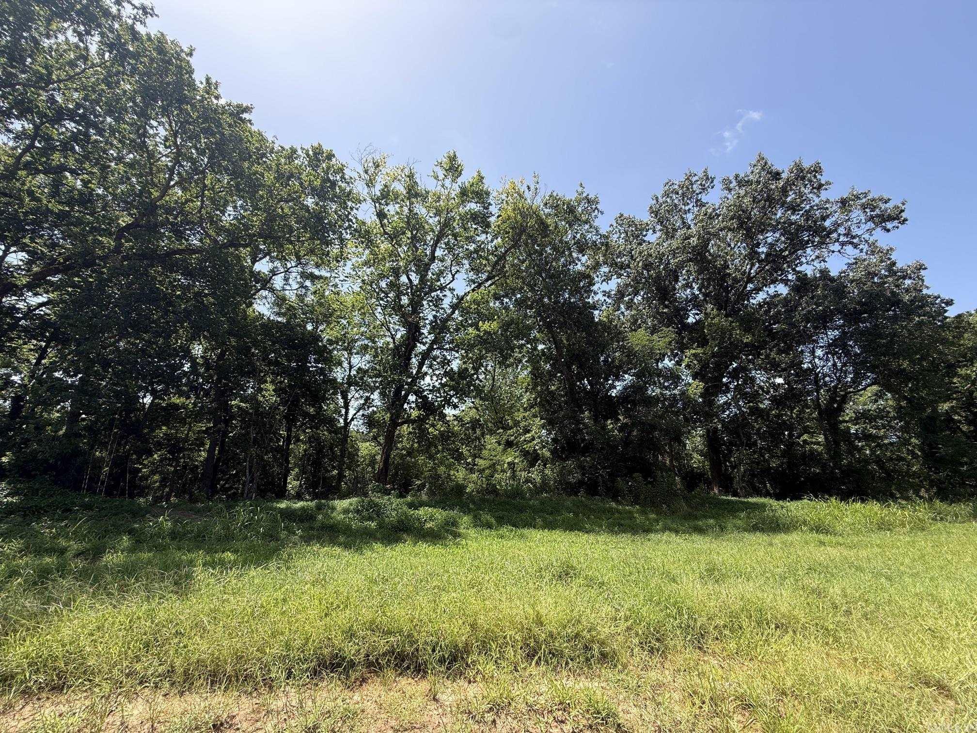Lot 42 Up River  Heber Springs, AR