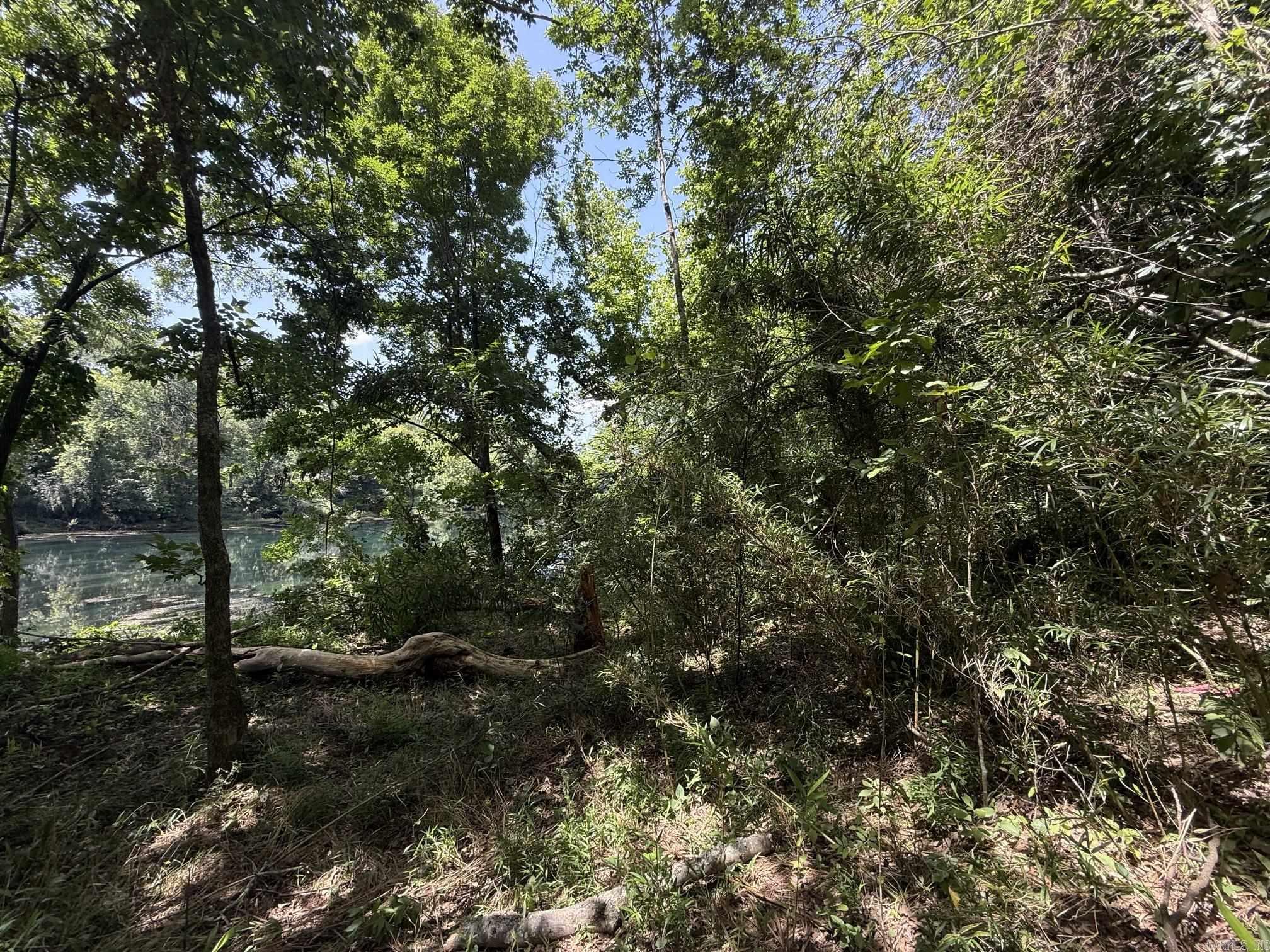Lot 43 Up River  Heber Springs, AR