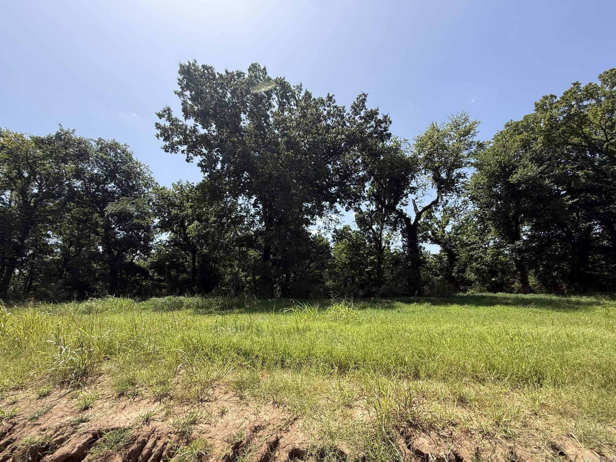 Lot 43 Up River  Heber Springs, AR