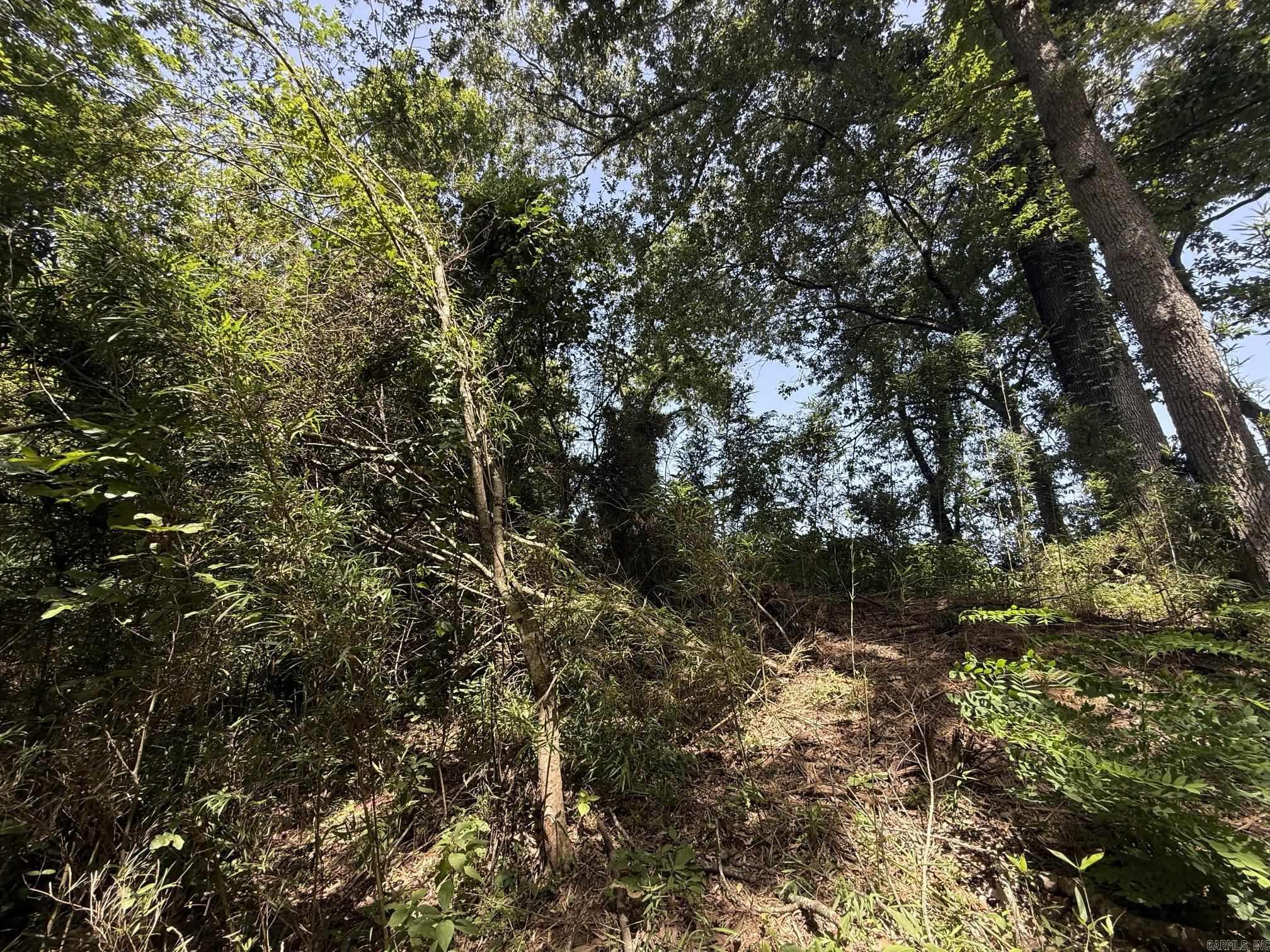 Lot 43 Up River  Heber Springs, AR