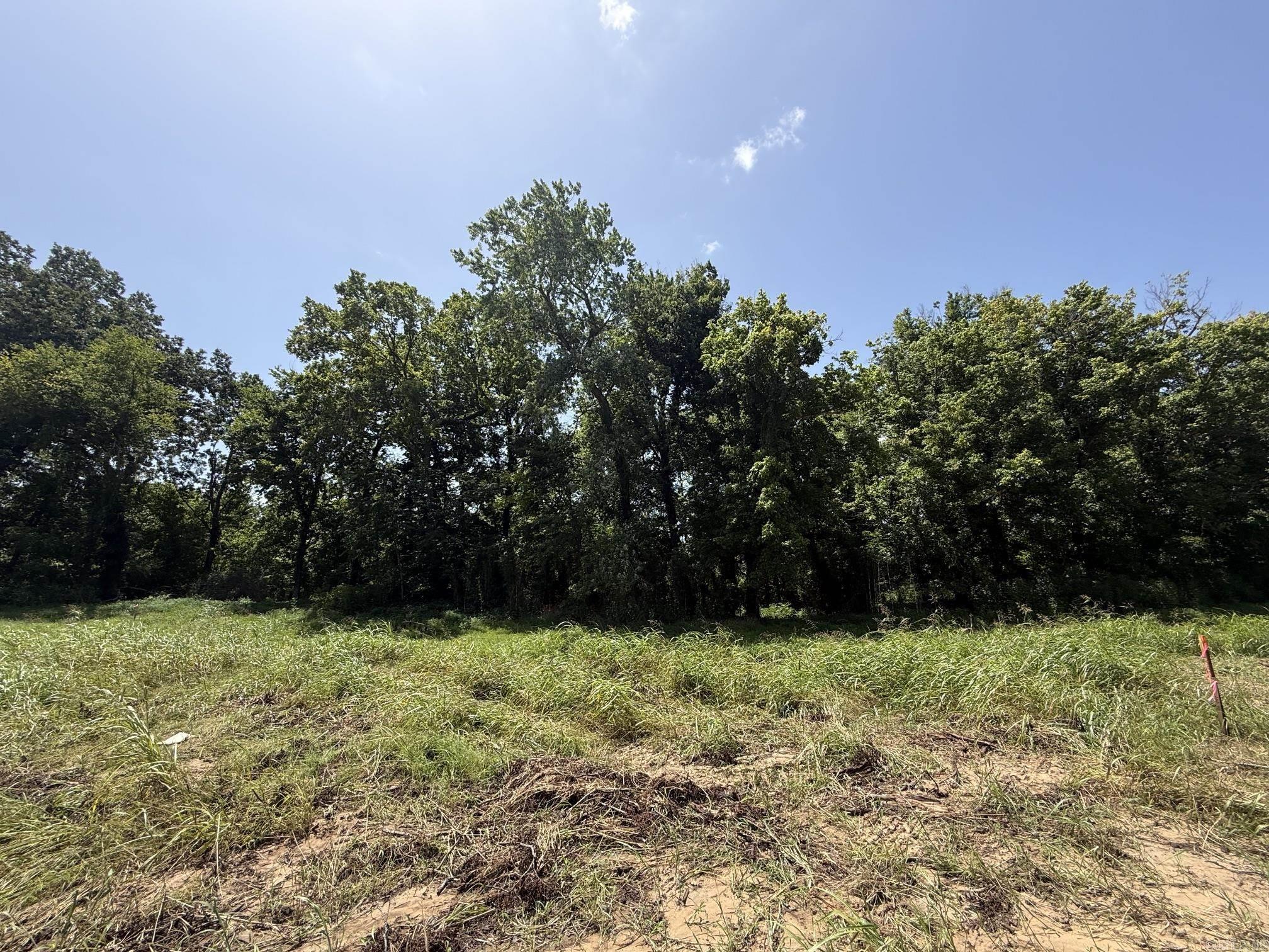 Lot 44 Up River  Heber Springs, AR