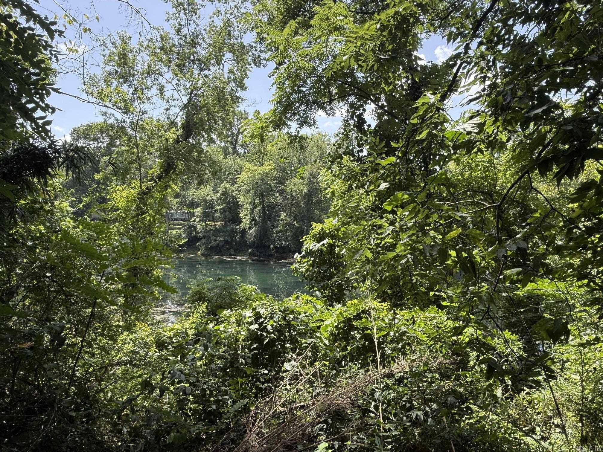 Lot 45 Up River  Heber Springs, AR