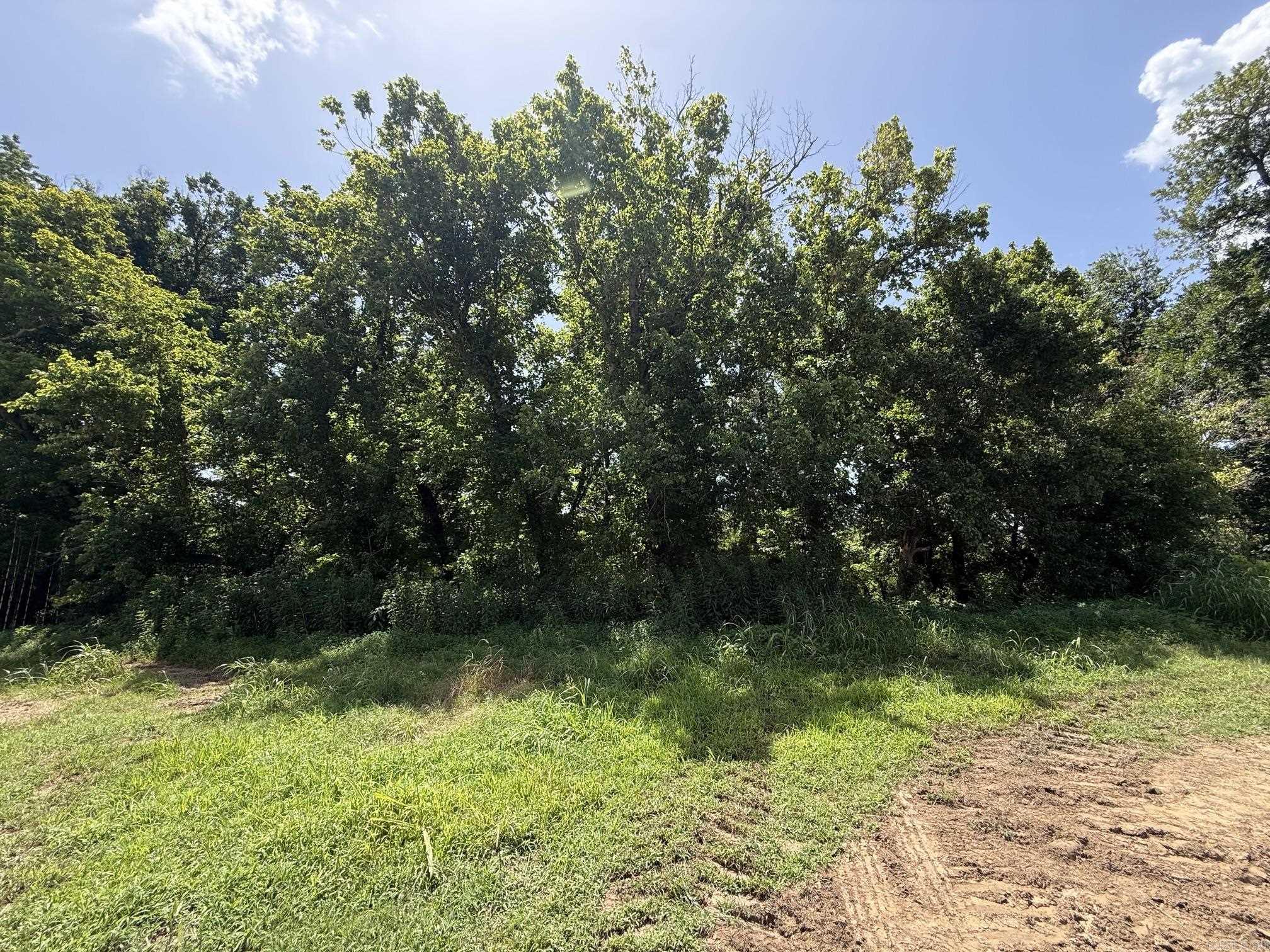 Lot 45 Up River  Heber Springs, AR