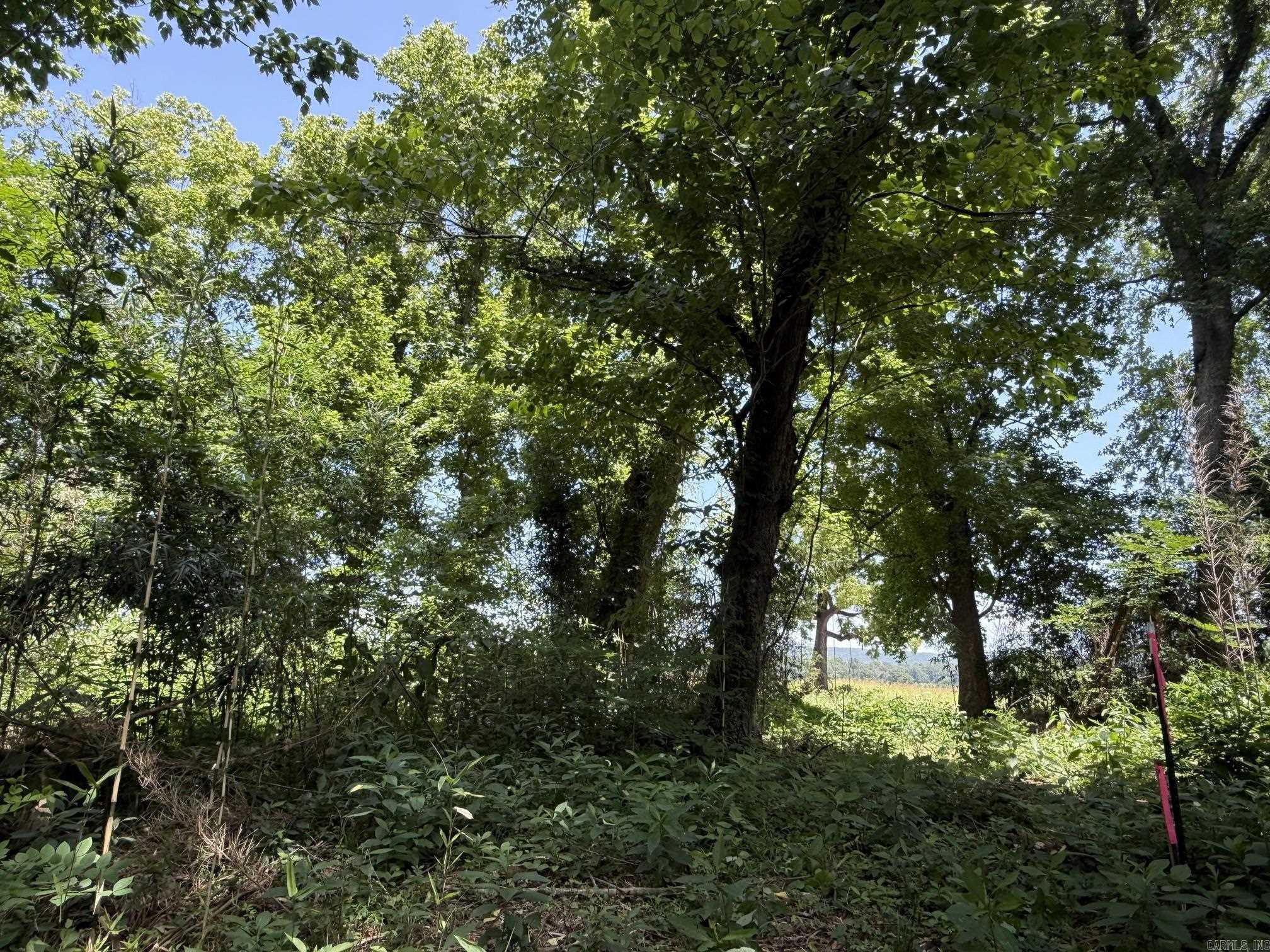Lot 45 Up River  Heber Springs, AR