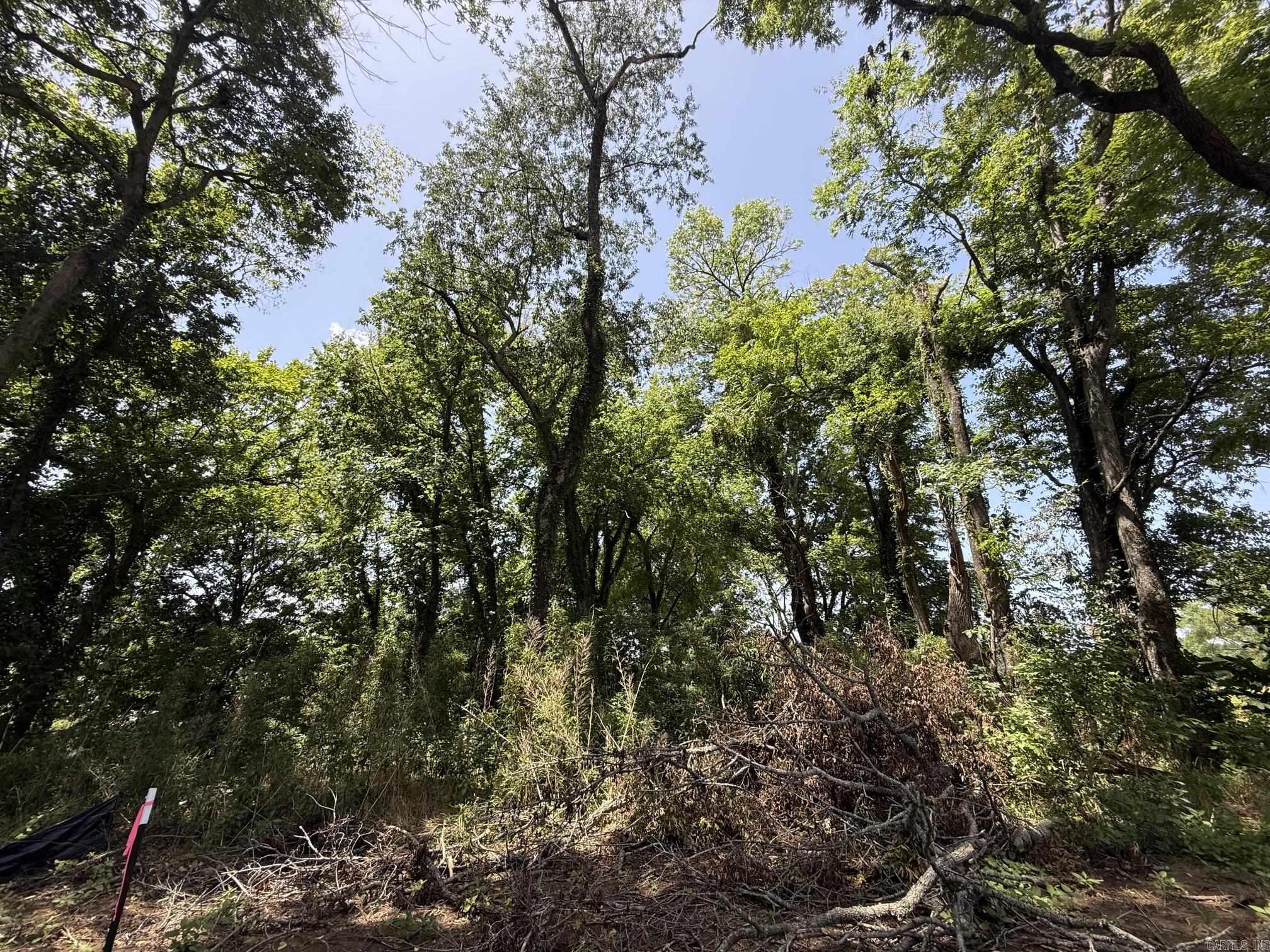 Lot 48 Up River  Heber Springs, AR