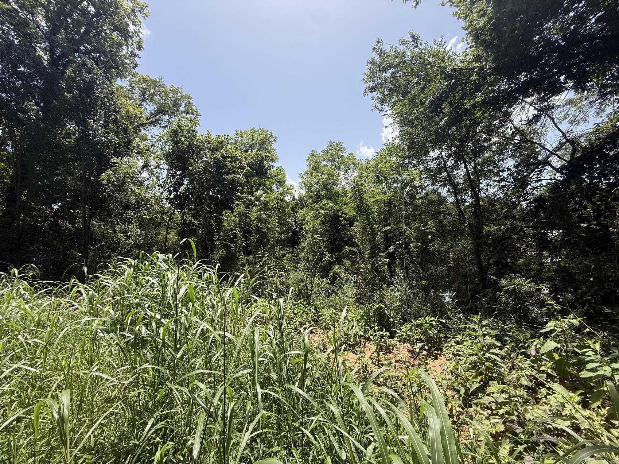 Lot 49 Down River  Heber Springs, AR