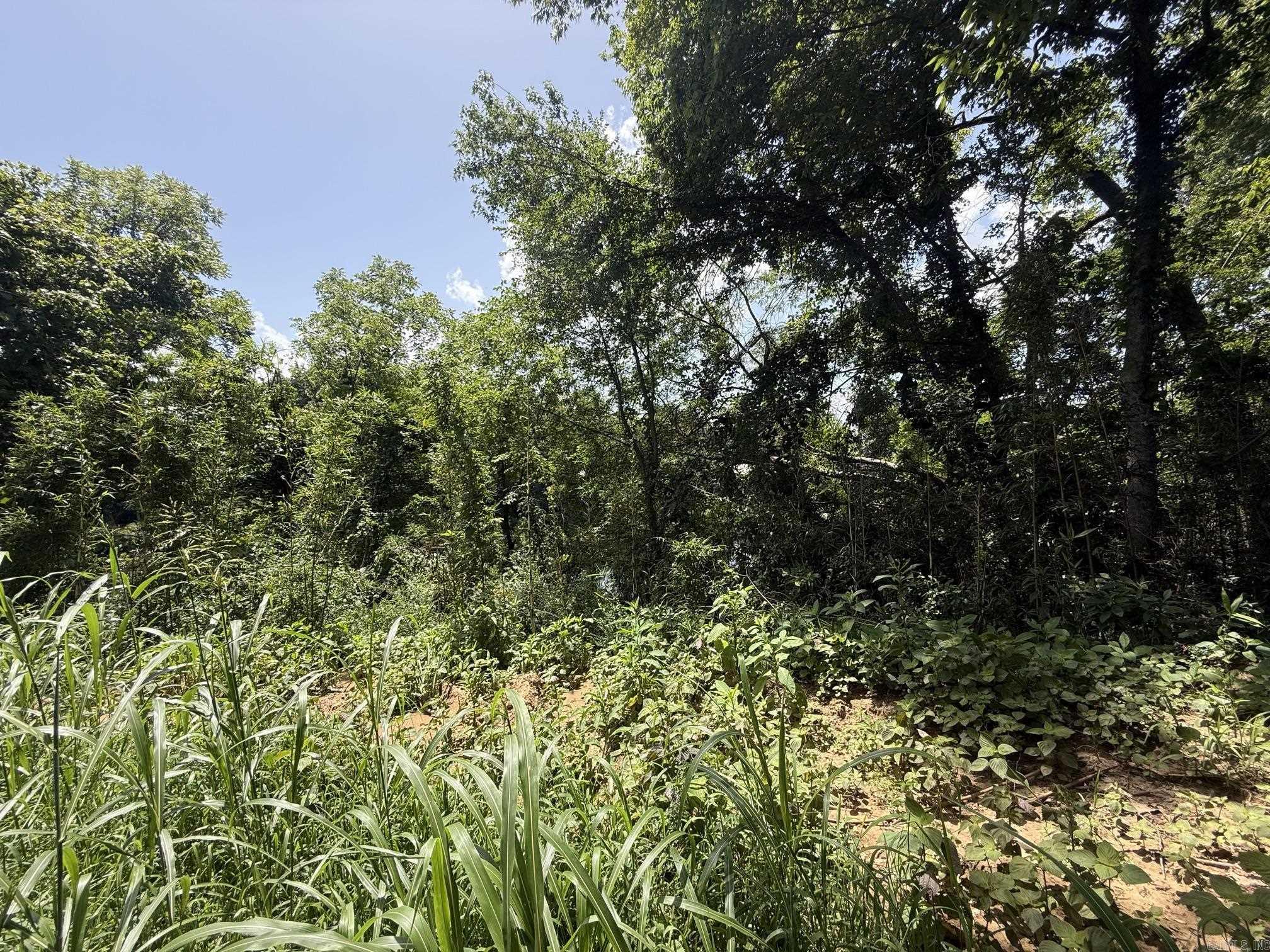 Lot 49 Down River  Heber Springs, AR